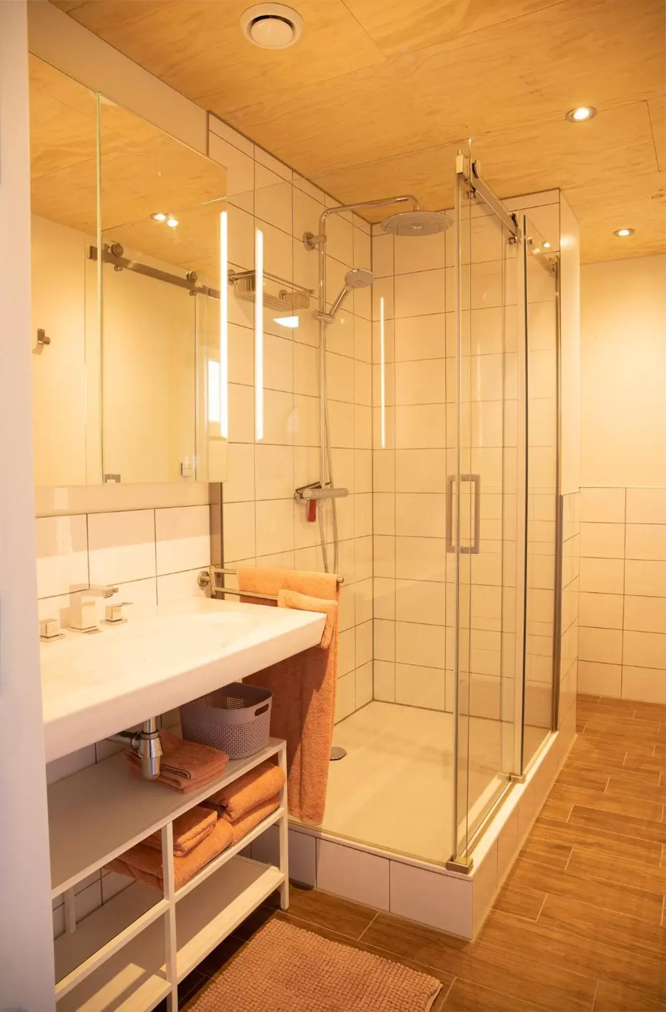 Shower, Bathroom in Boerenhofstede de Overhorn