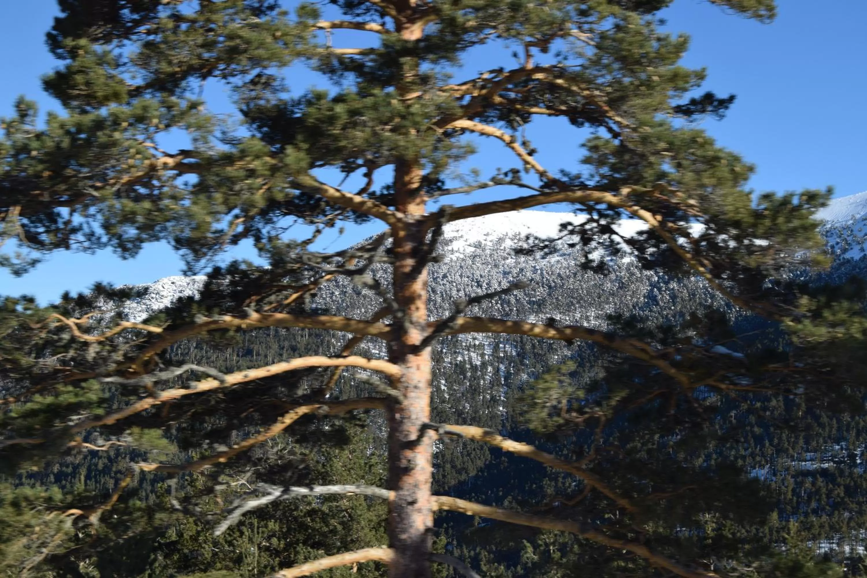 Other in Hotel Rural Marcos