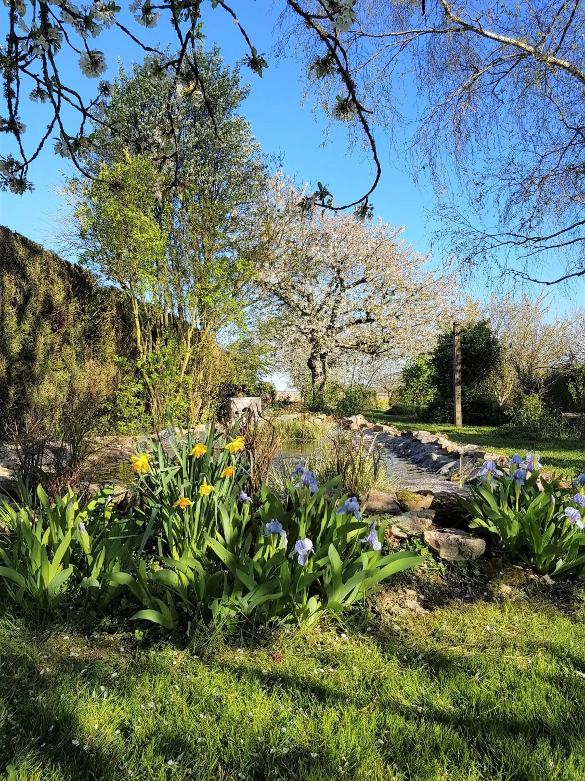 Spring, Garden in Chambres D'hôtes Anne-Marie