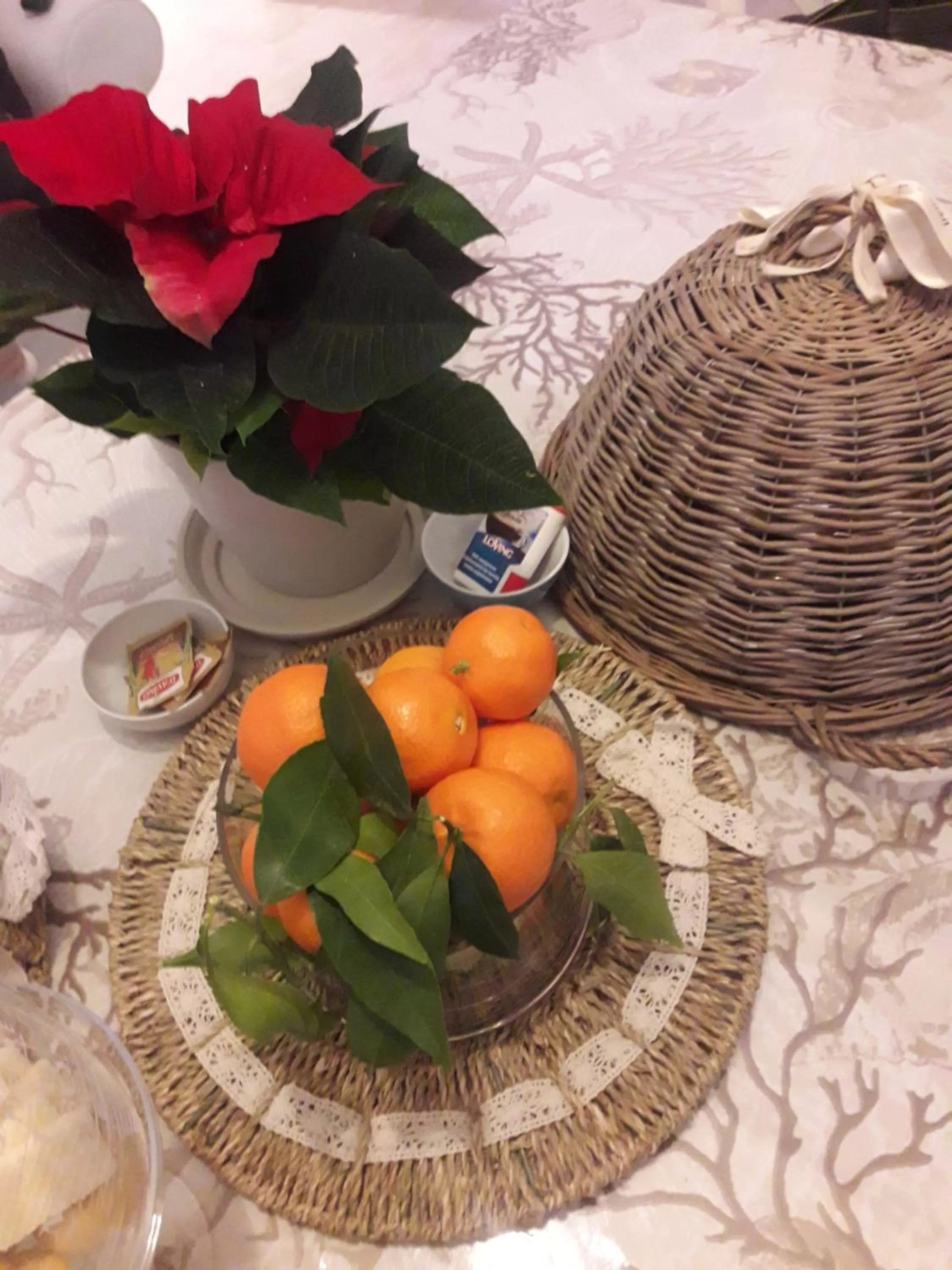 Food and drinks in B&B VelAmare