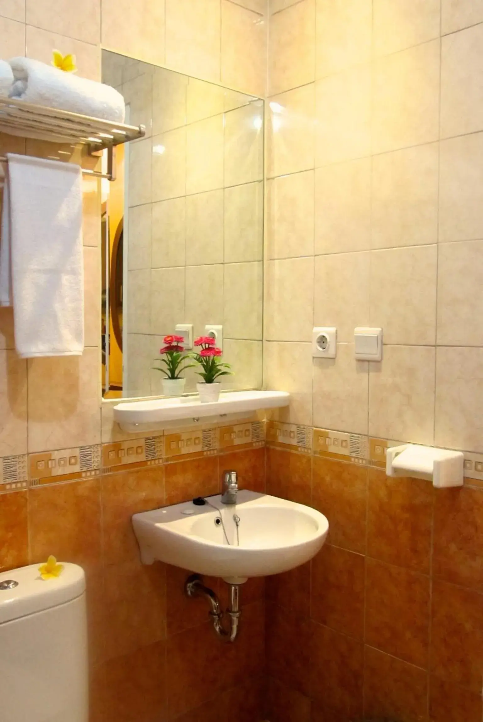 Toilet, Bathroom in Ravarine Suite Apartment