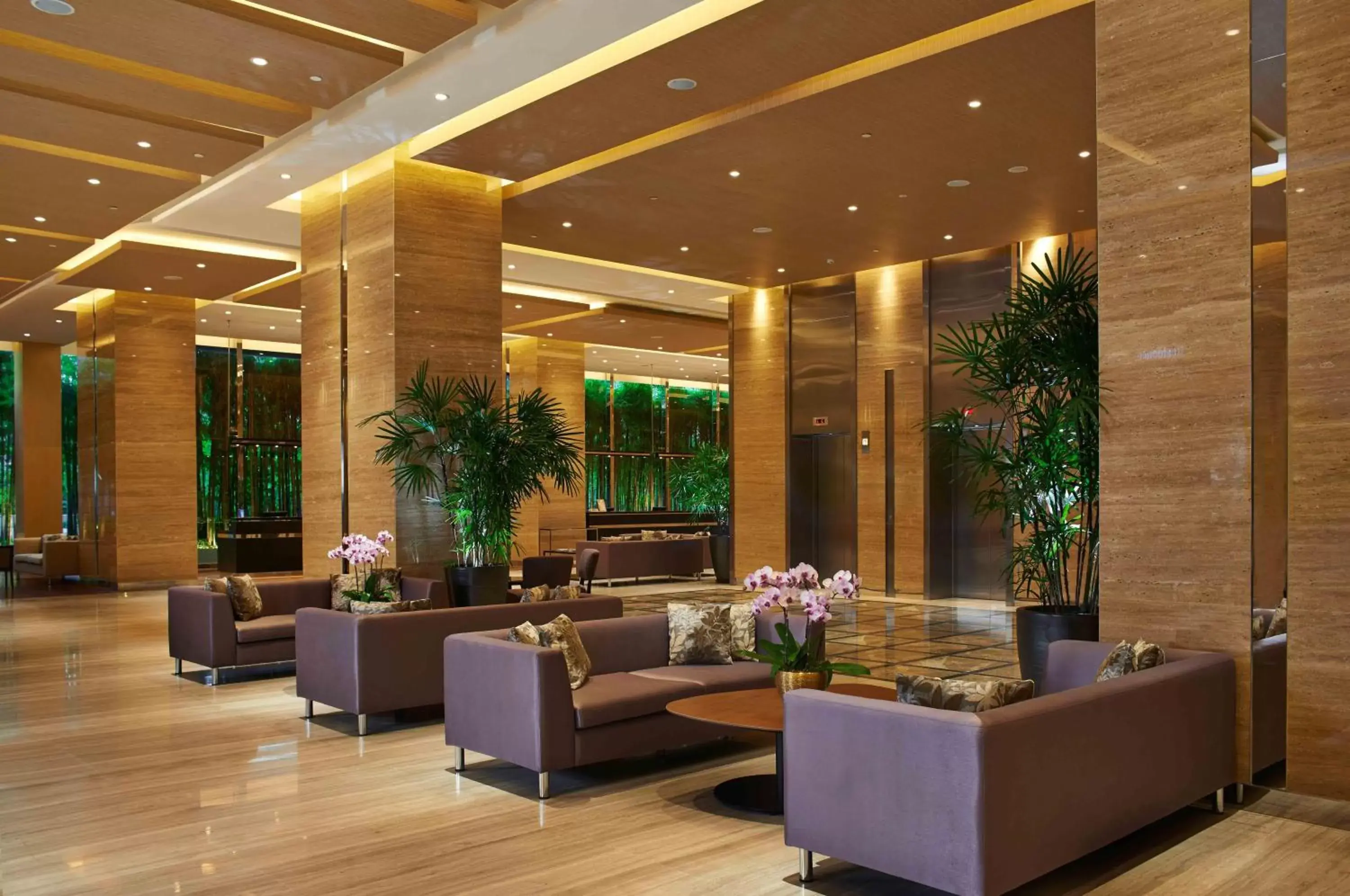 Lobby or reception, Lounge/Bar in VE Hotel & Residence