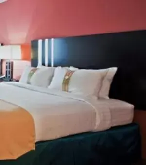 King Room with Roll-In Shower - Disability Access in Holiday Inn Titusville/Kennedy Space Center, an IHG Hotel King Room with Roll-In Shower - Disability Access in Holiday Inn Titusville/Kennedy Space Center, an IHG Hotel