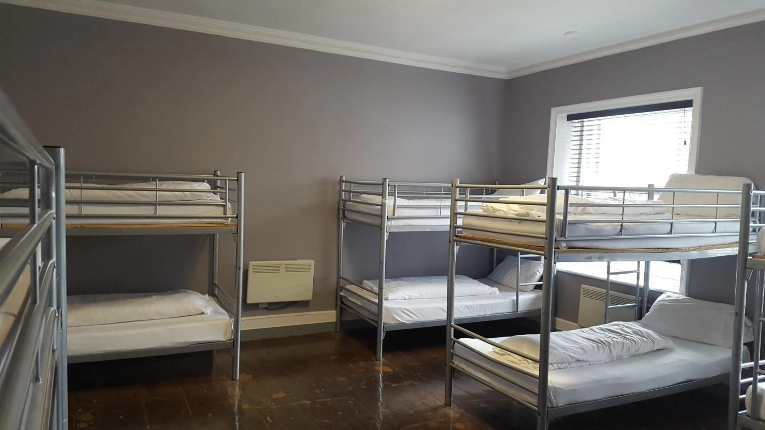 Bedroom, Bed in Albatross Hostel