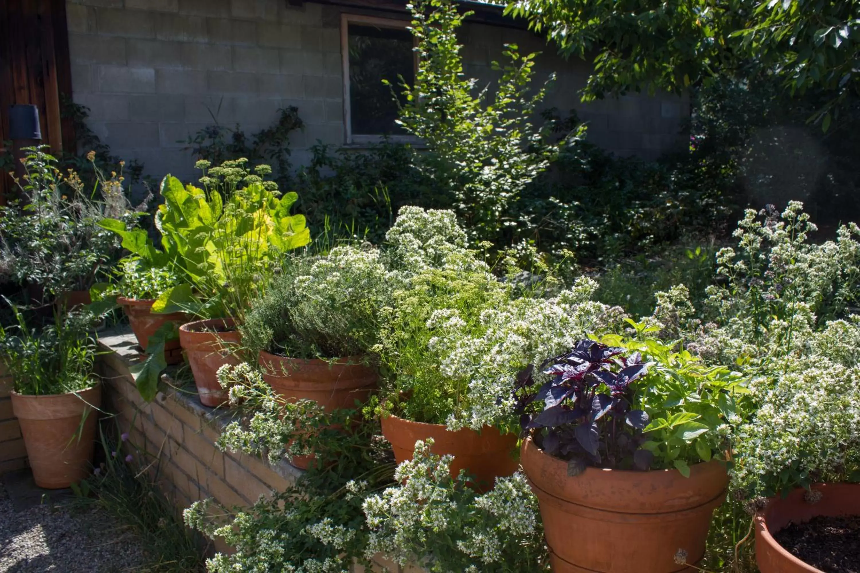 Garden in Genelle House B&B Guest House