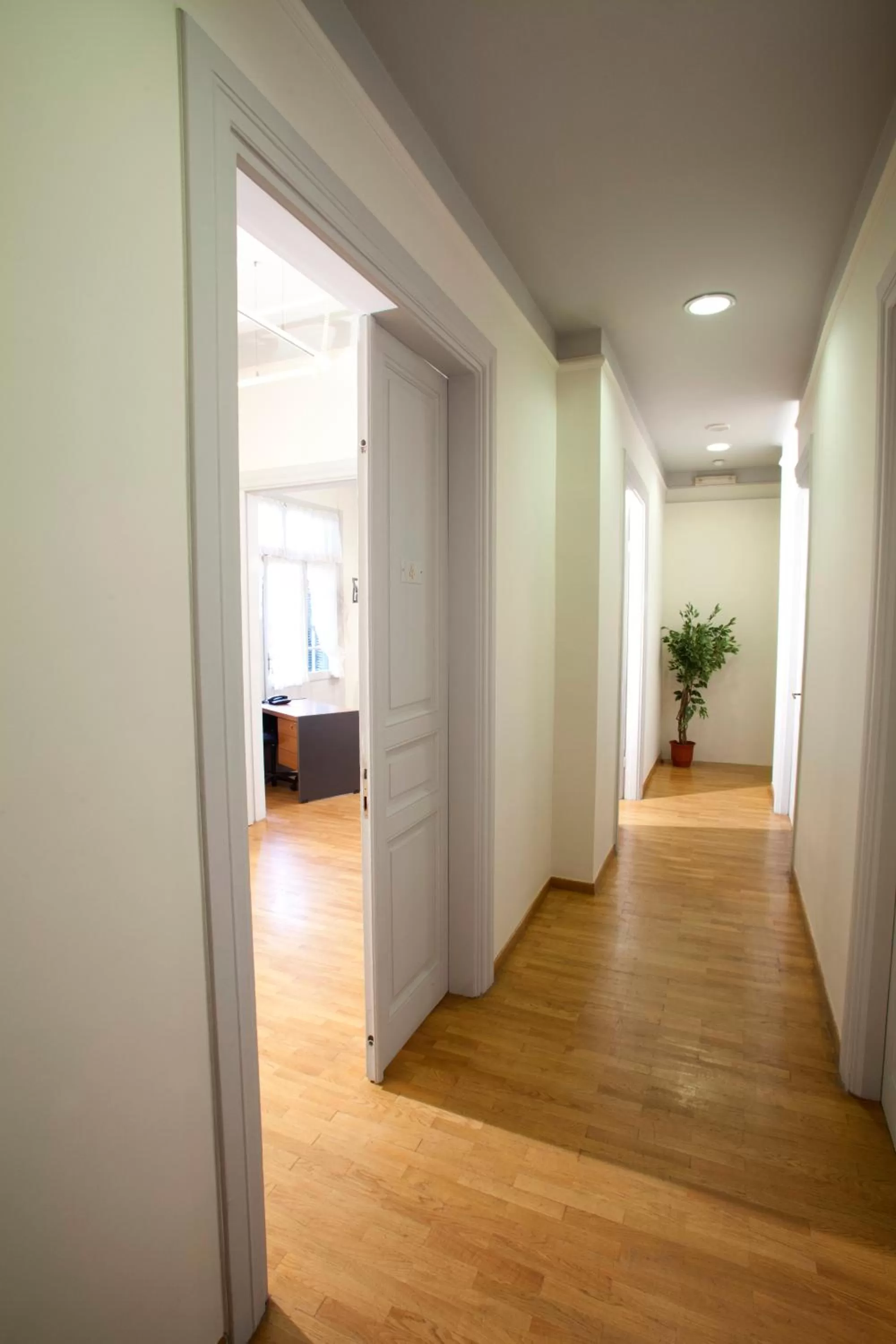 Other in Domotel Olympia