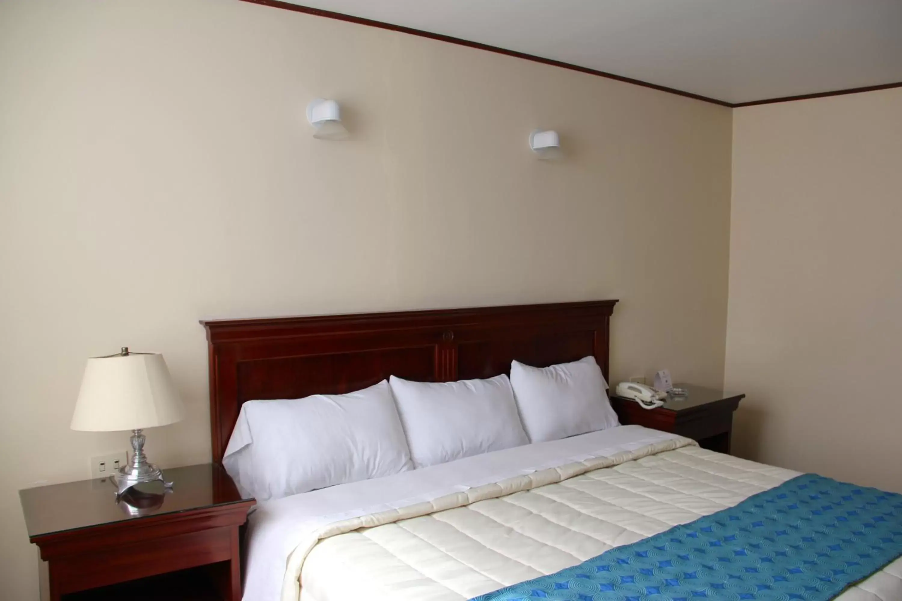 Standard King Room - single occupancy in Hotel Tehuacan Plaza
