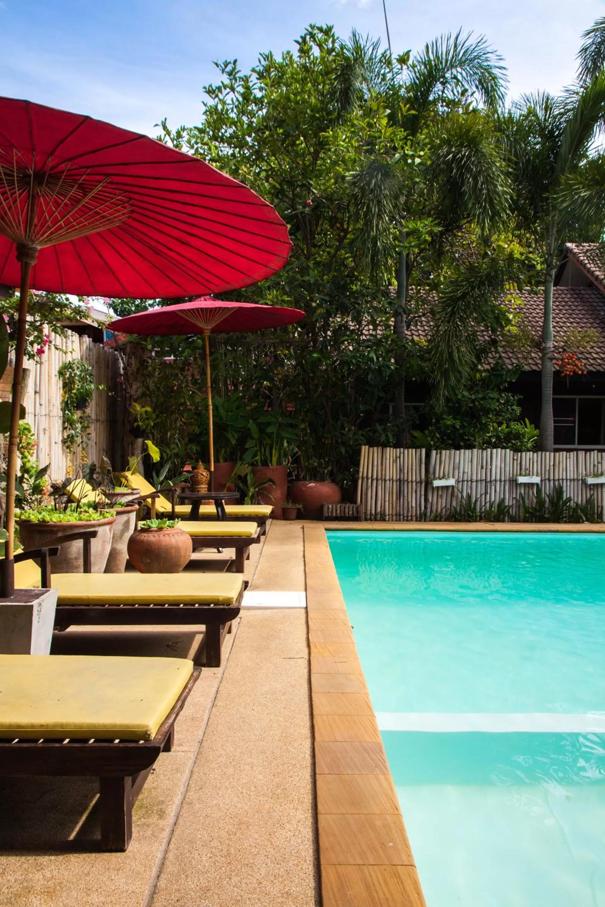 Swimming pool in Joy's House & Tour