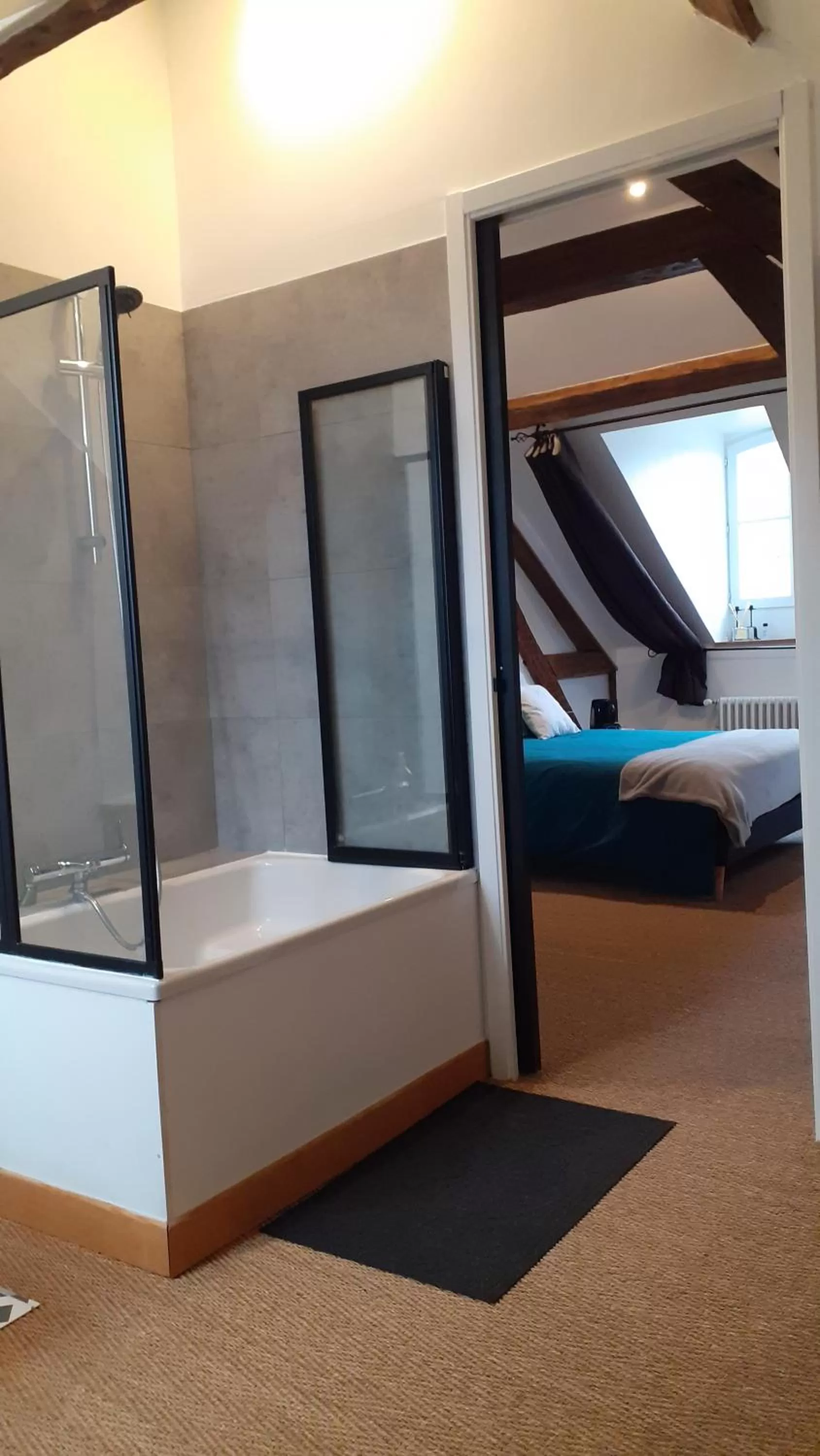 Bathroom in Jules Verne