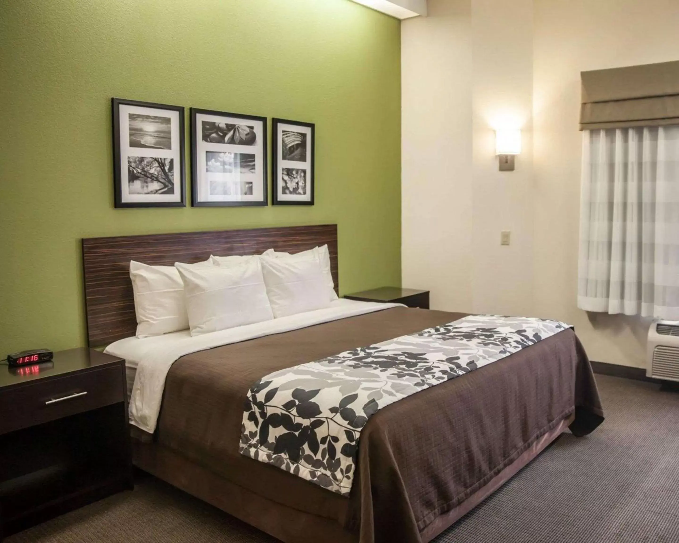 Photo of the whole room, Bed in Sleep Inn and Suites Hagerstown