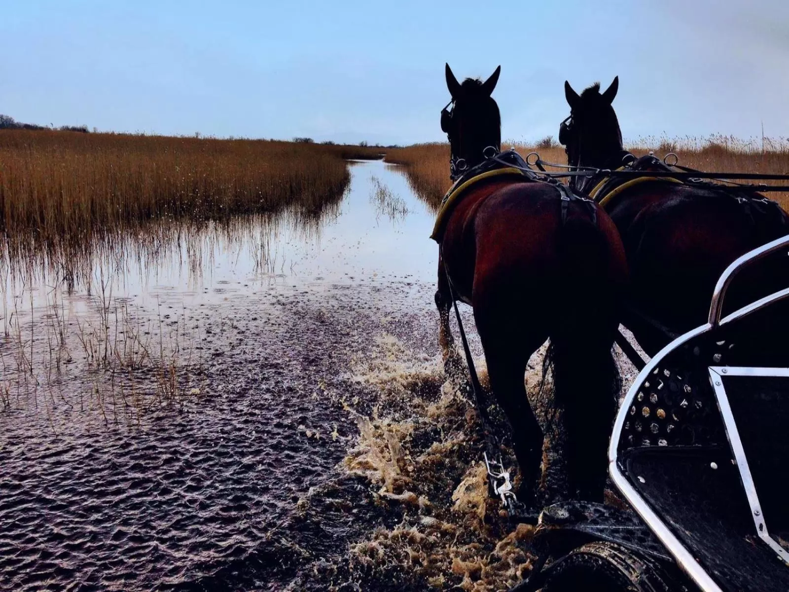 Horse-riding in Hotel Nationalpark