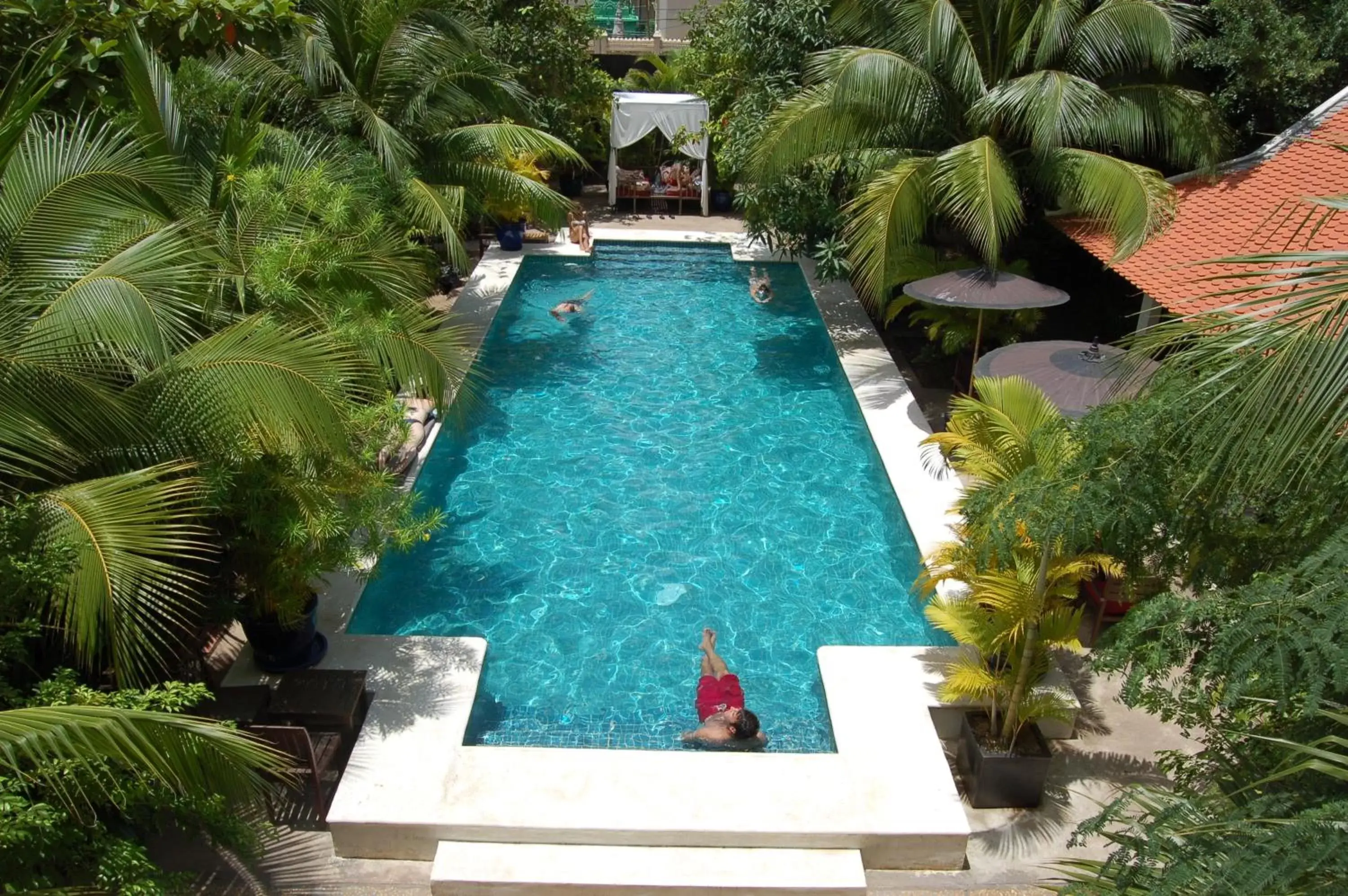 Swimming pool, Pool View in PAVILION