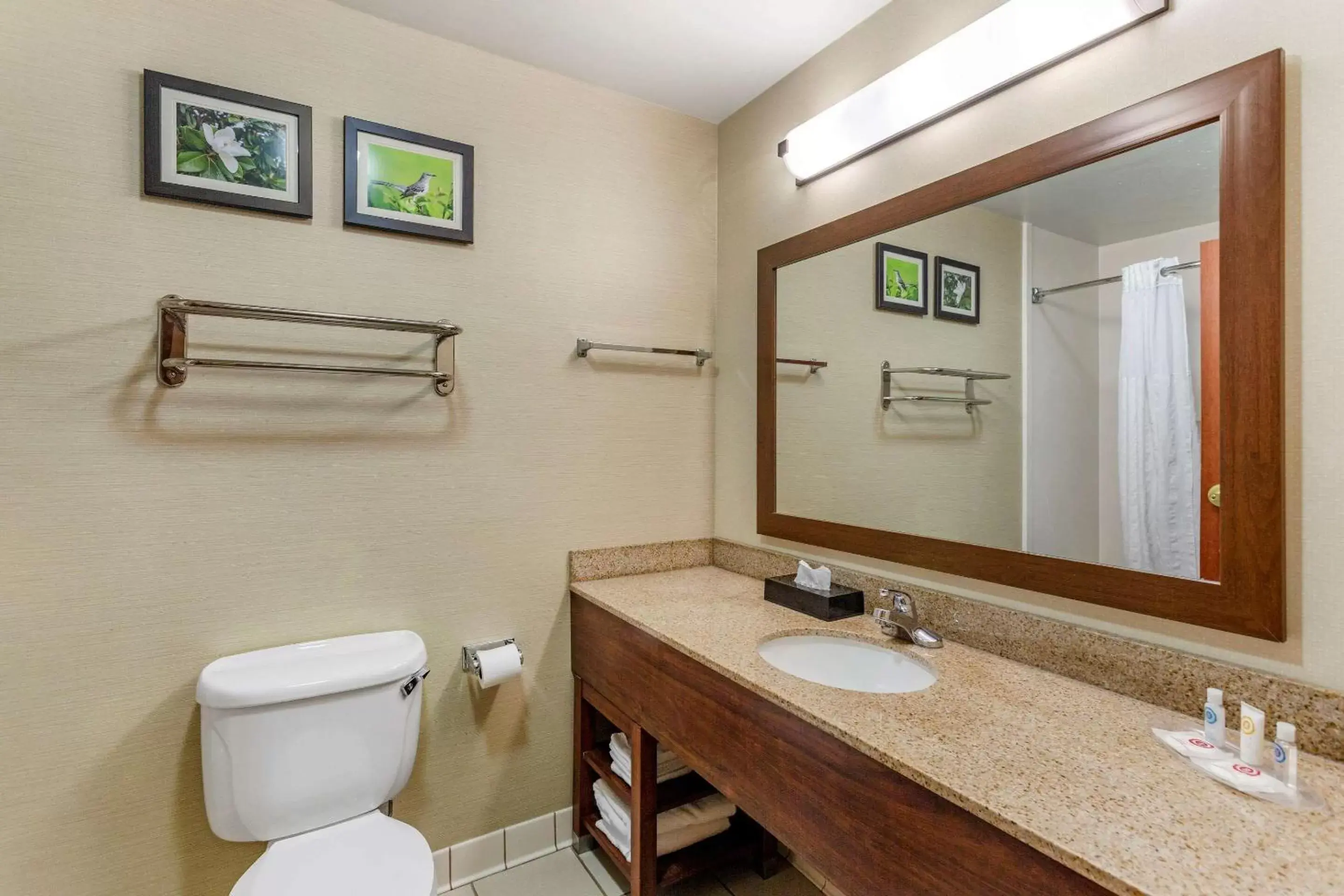 Bedroom, Bathroom in Comfort Suites Southaven I-55