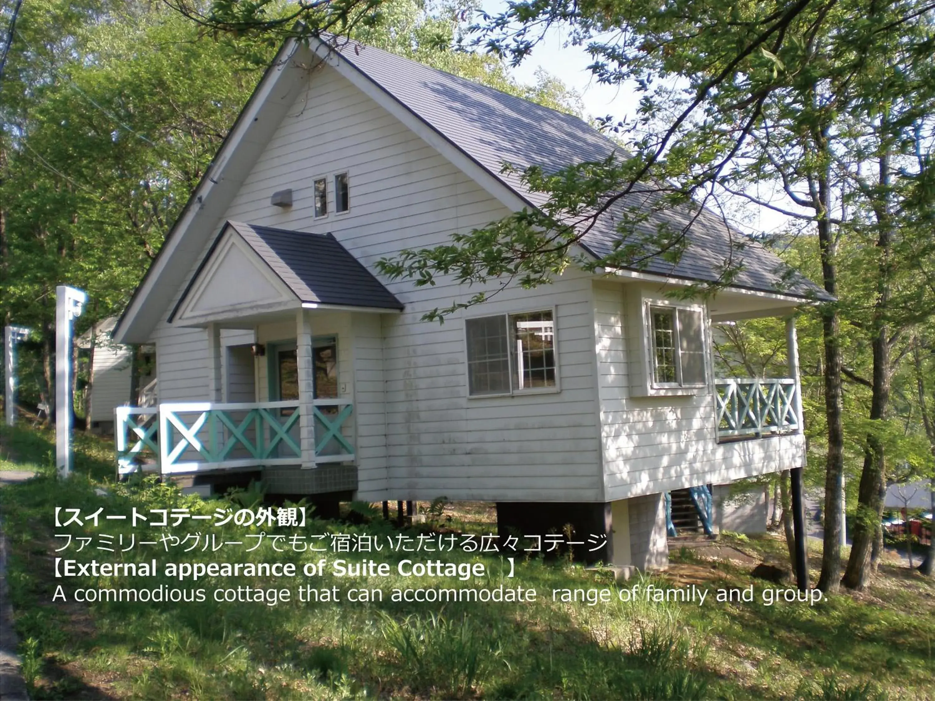 Photo of the whole room, Property Building in Resort Villa Takayama