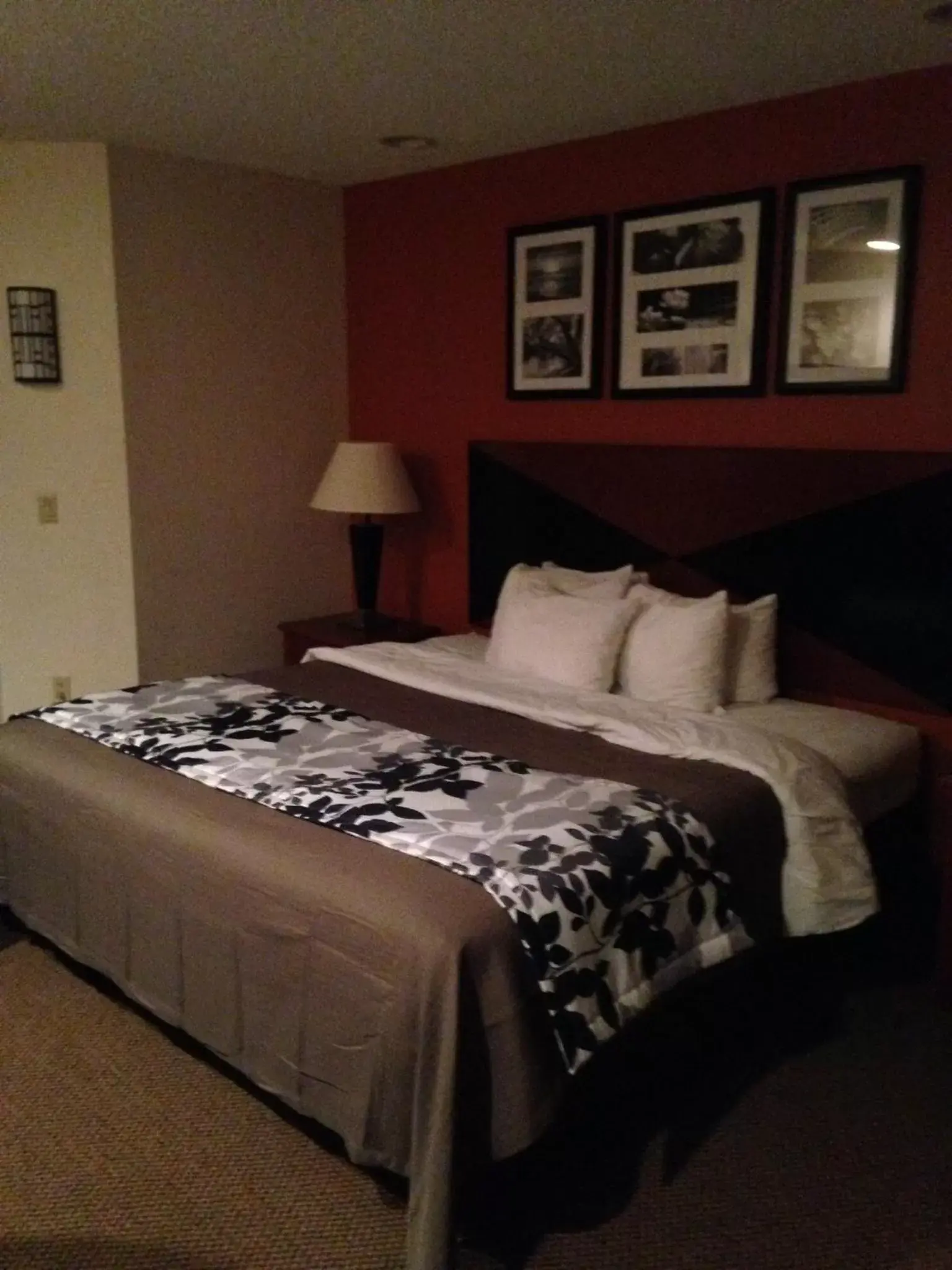 Photo of the whole room, Bed in Sleep Inn Pelham Oak Mountain