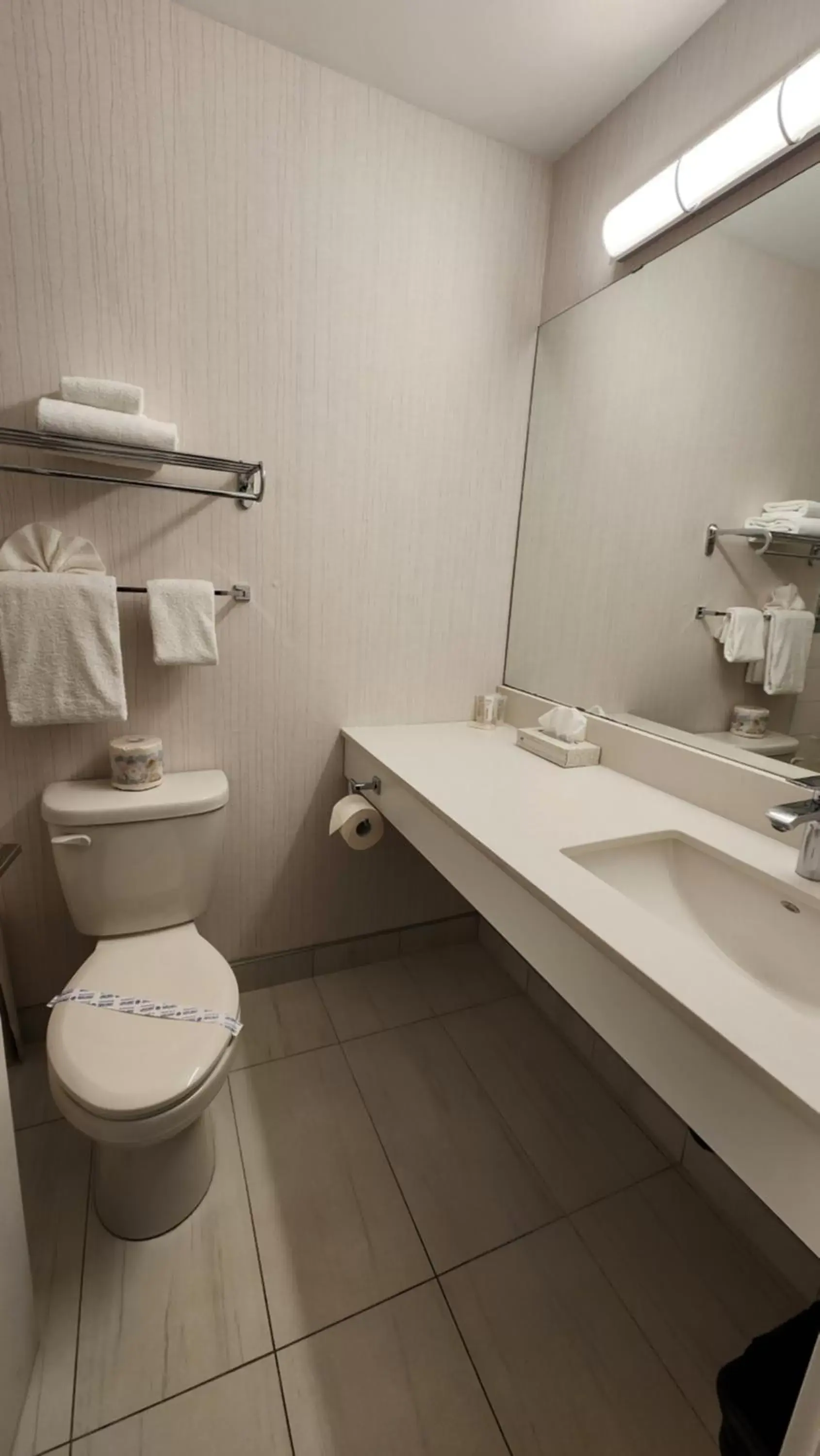 Toilet, Bathroom in The Cedars Inn Hotel & Convention Centre