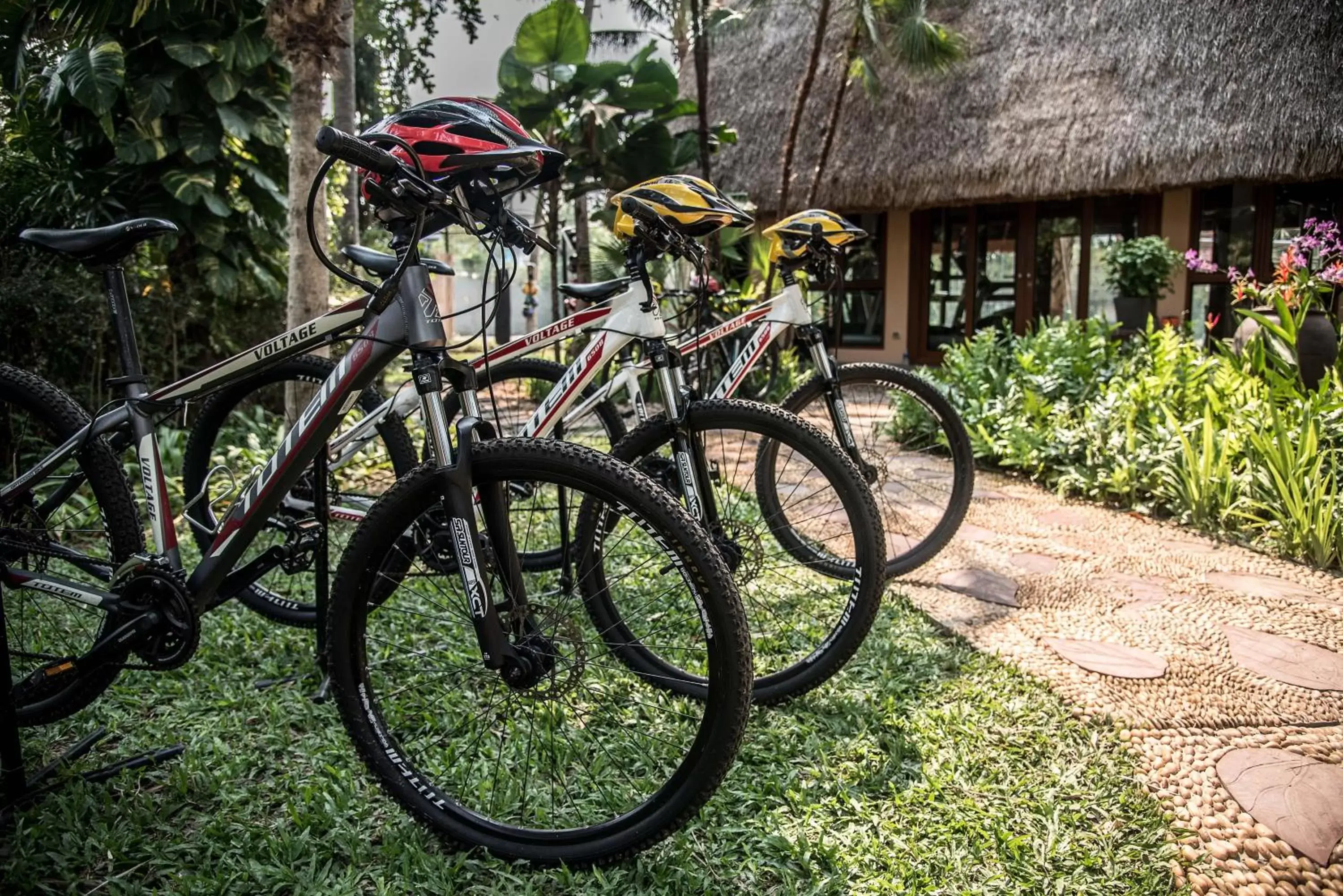 Cycling, Other Activities in Anantara Hua Hin Resort - SHA Certified