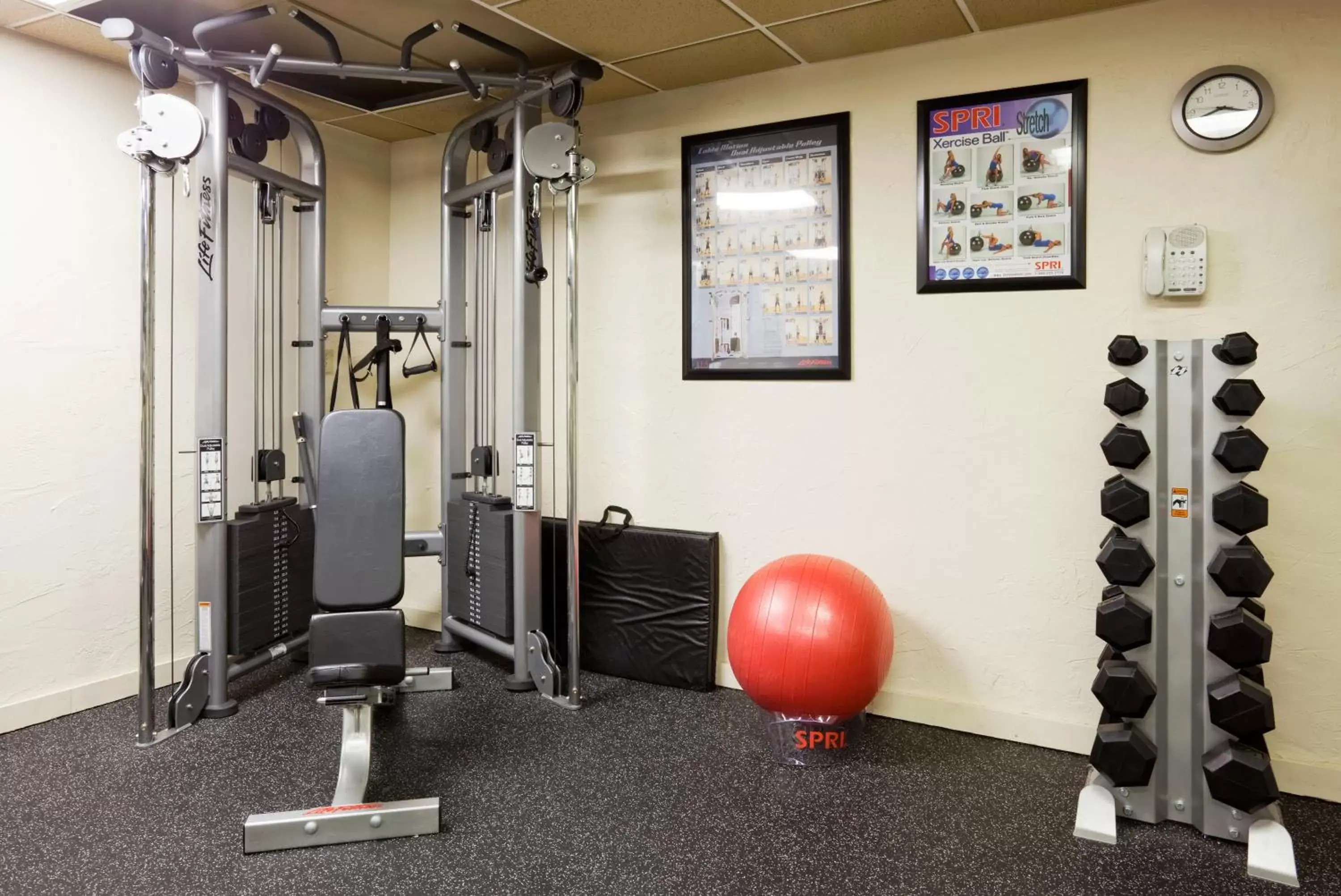 Fitness centre/facilities in Holiday Inn Alexandria by IHG Fitness centre/facilities in Holiday Inn Alexandria by IHG