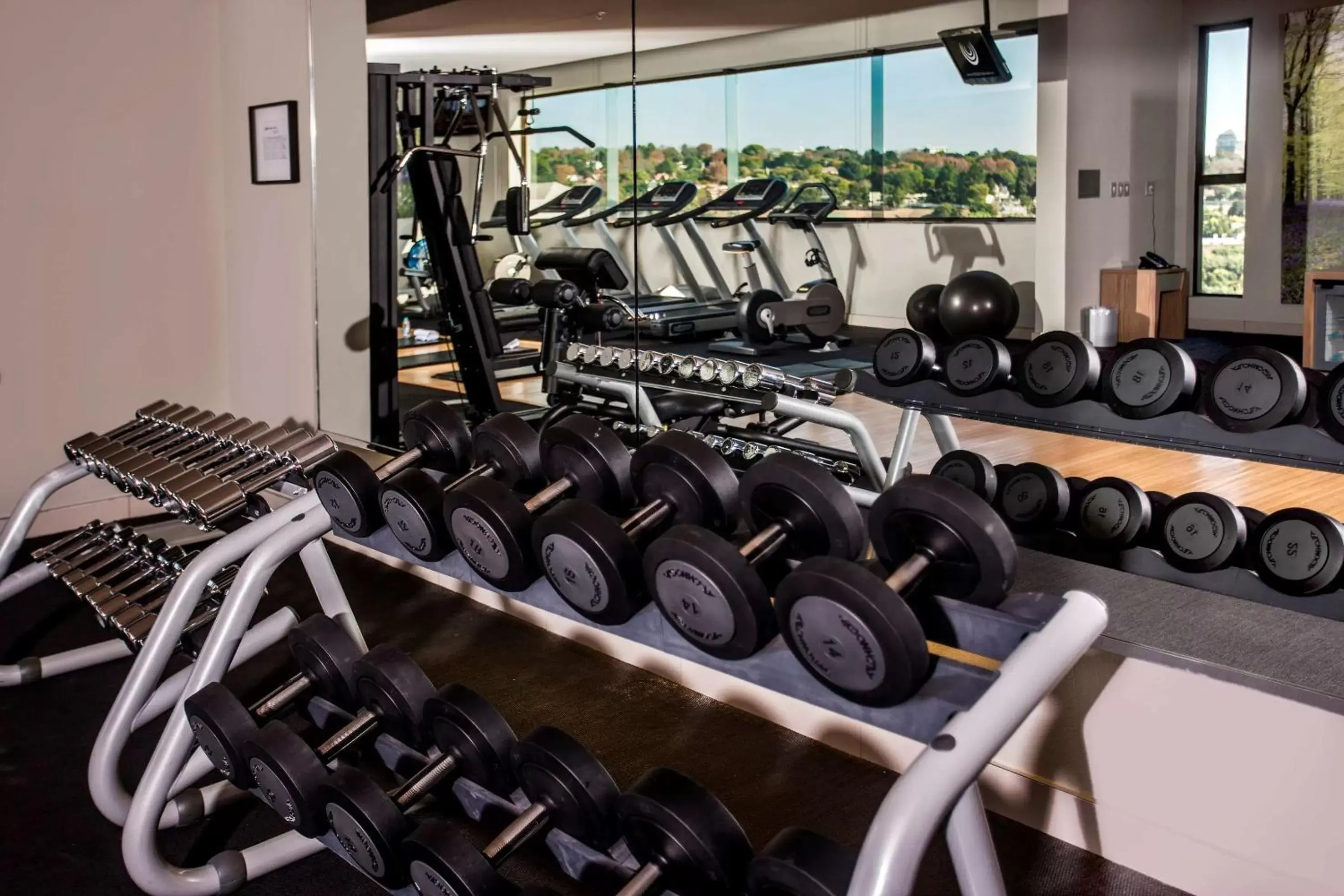 Spa and wellness centre/facilities, Fitness Center/Facilities in Southern Sun Hyde Park Sandton