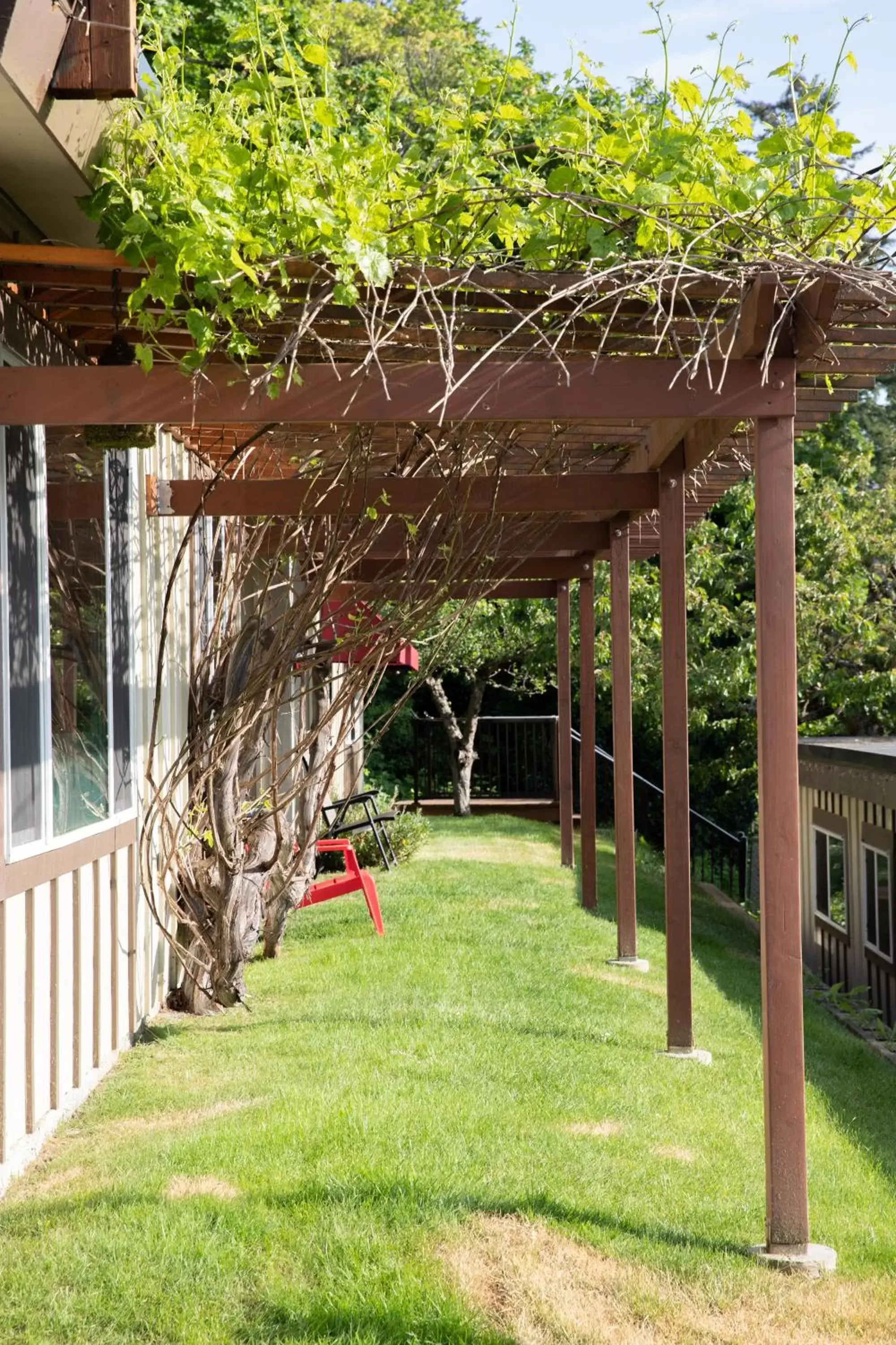 Property building, Garden in Cherry Tree Inn