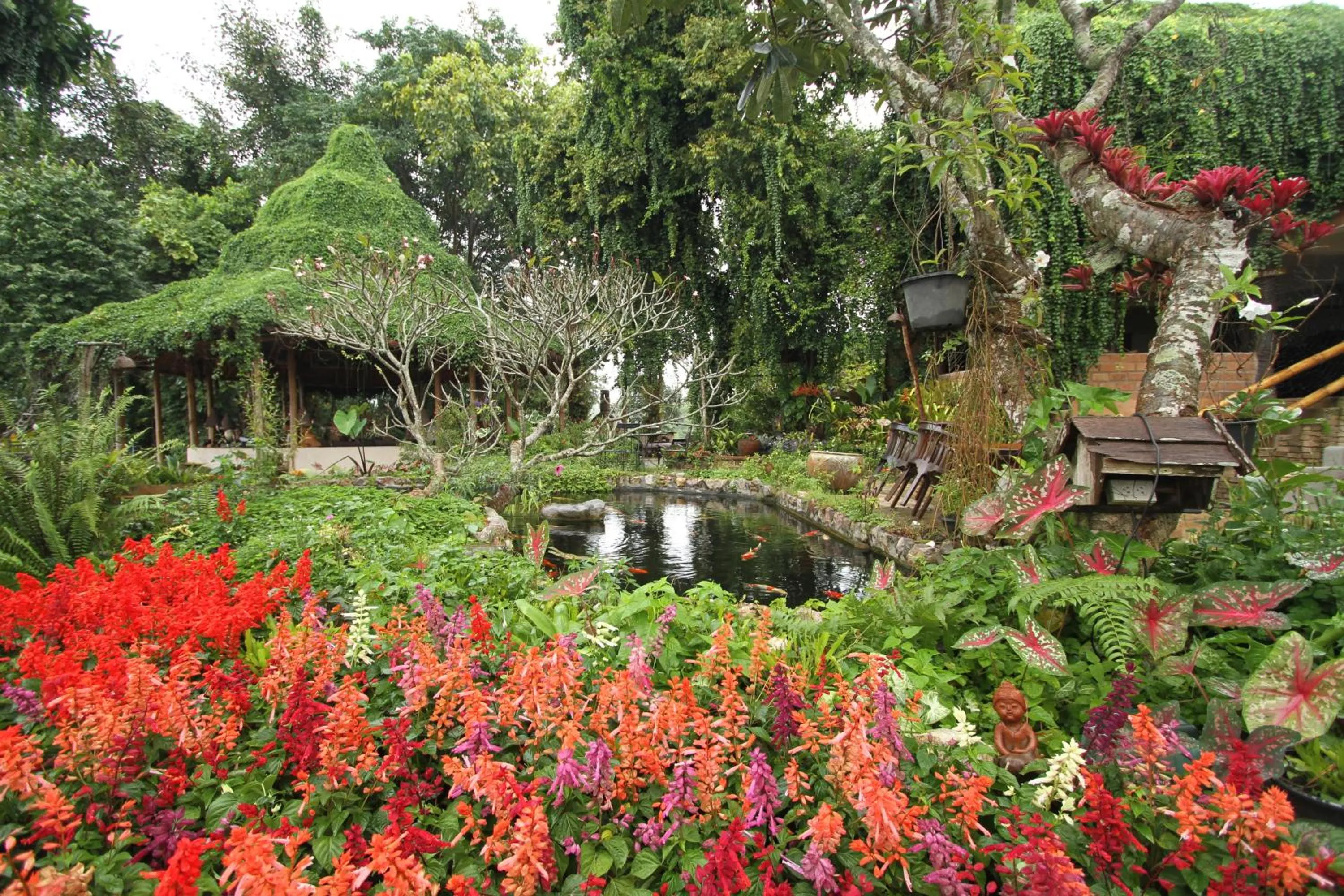 Garden in Phu Chaisai Chiang Rai Mountain Resort