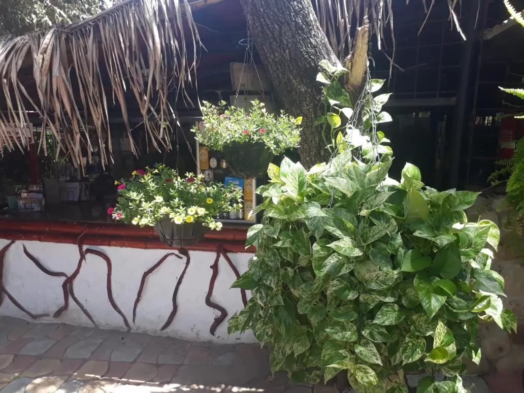 El Peñon De Constantino - Tatacoa