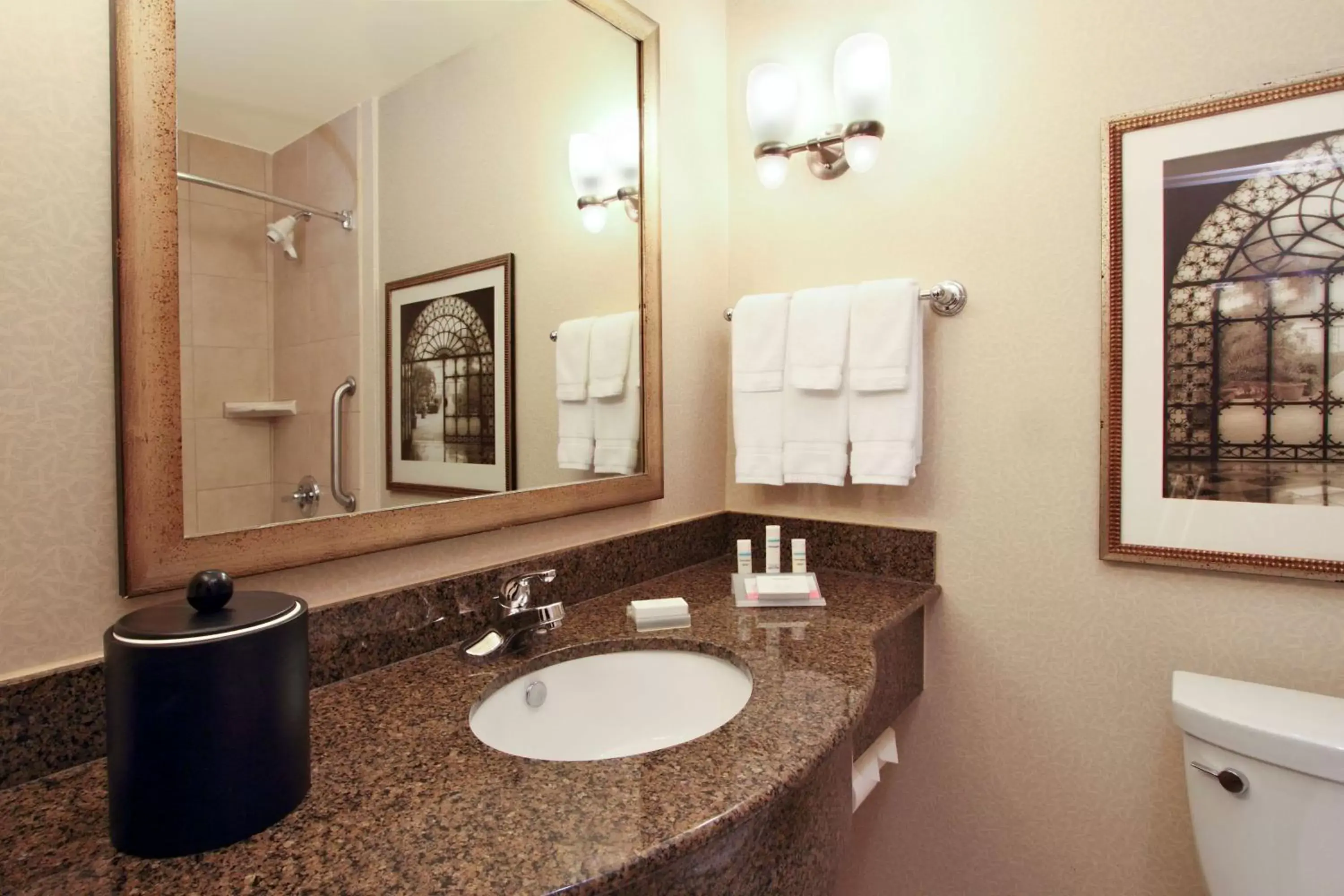 Bathroom in Hilton Garden Inn Beaumont