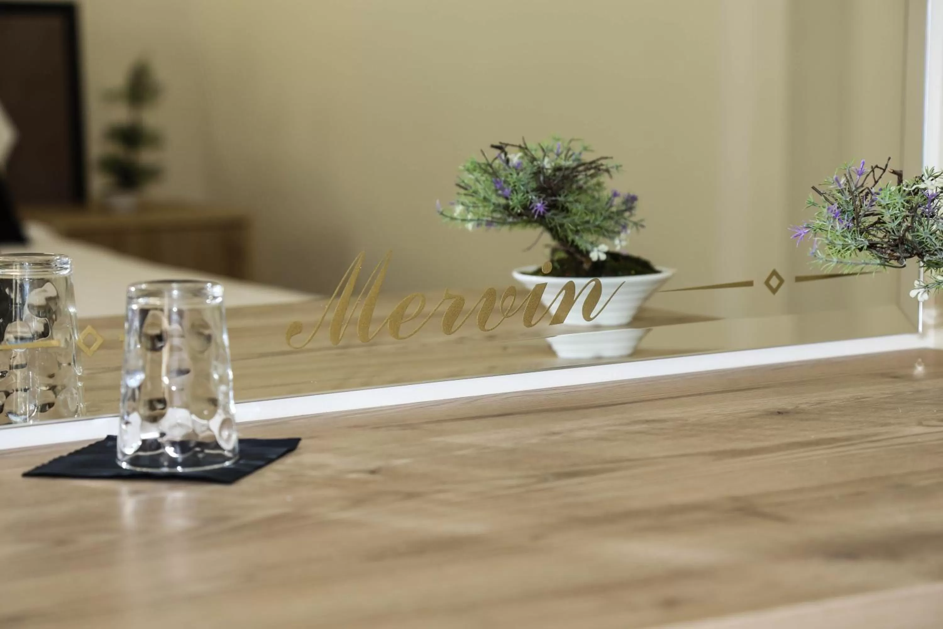 Area and facilities in Mervin Hotel