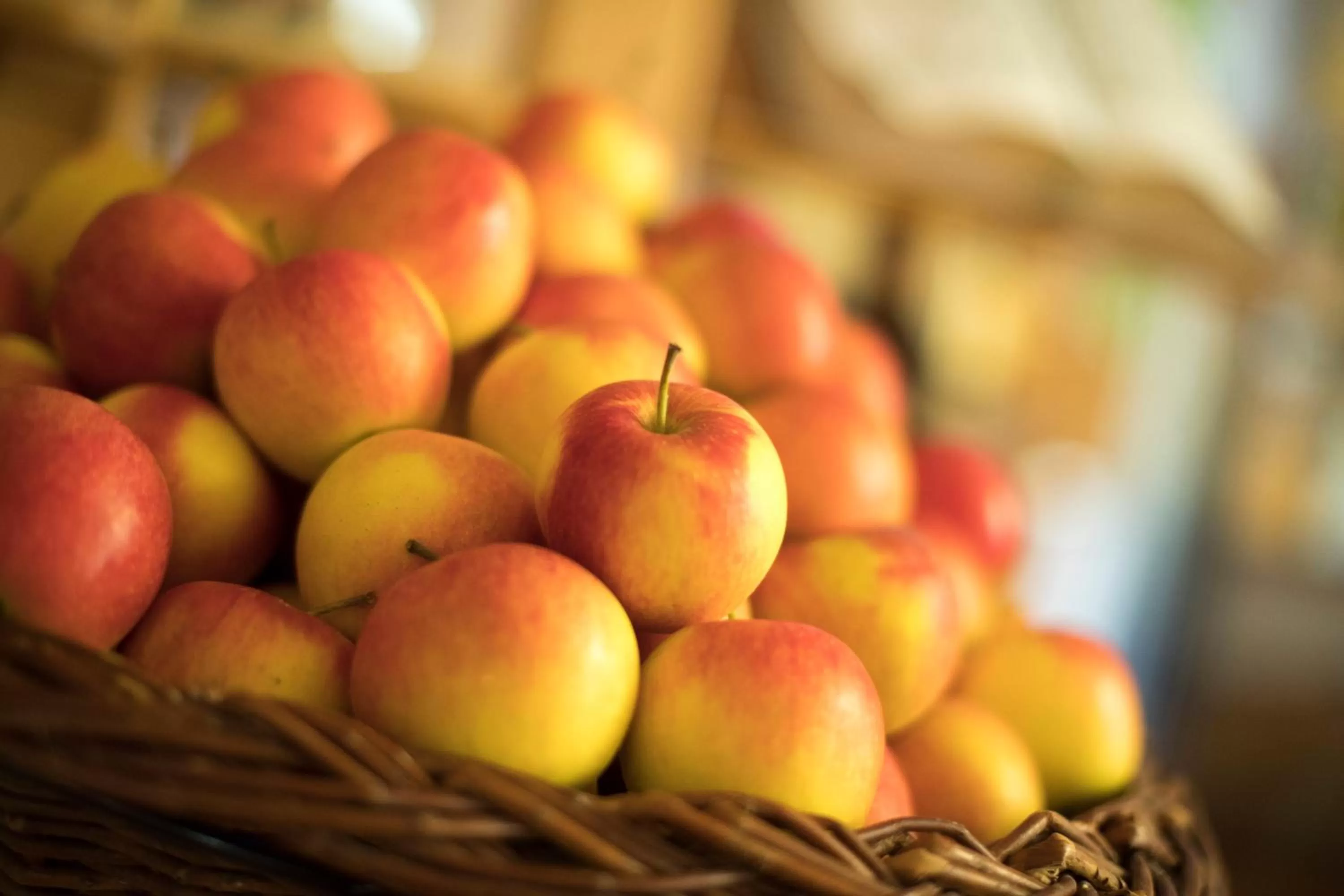 Food and drinks in Thermenhof PuchasPLUS Loipersdorf