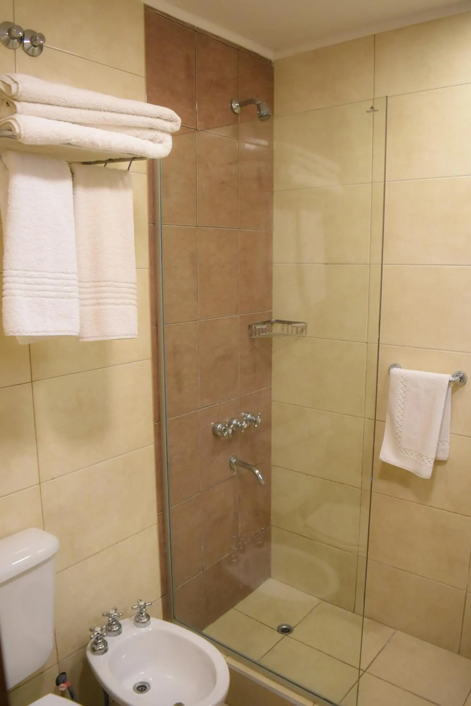 Bathroom in Ritz Hotel Mendoza