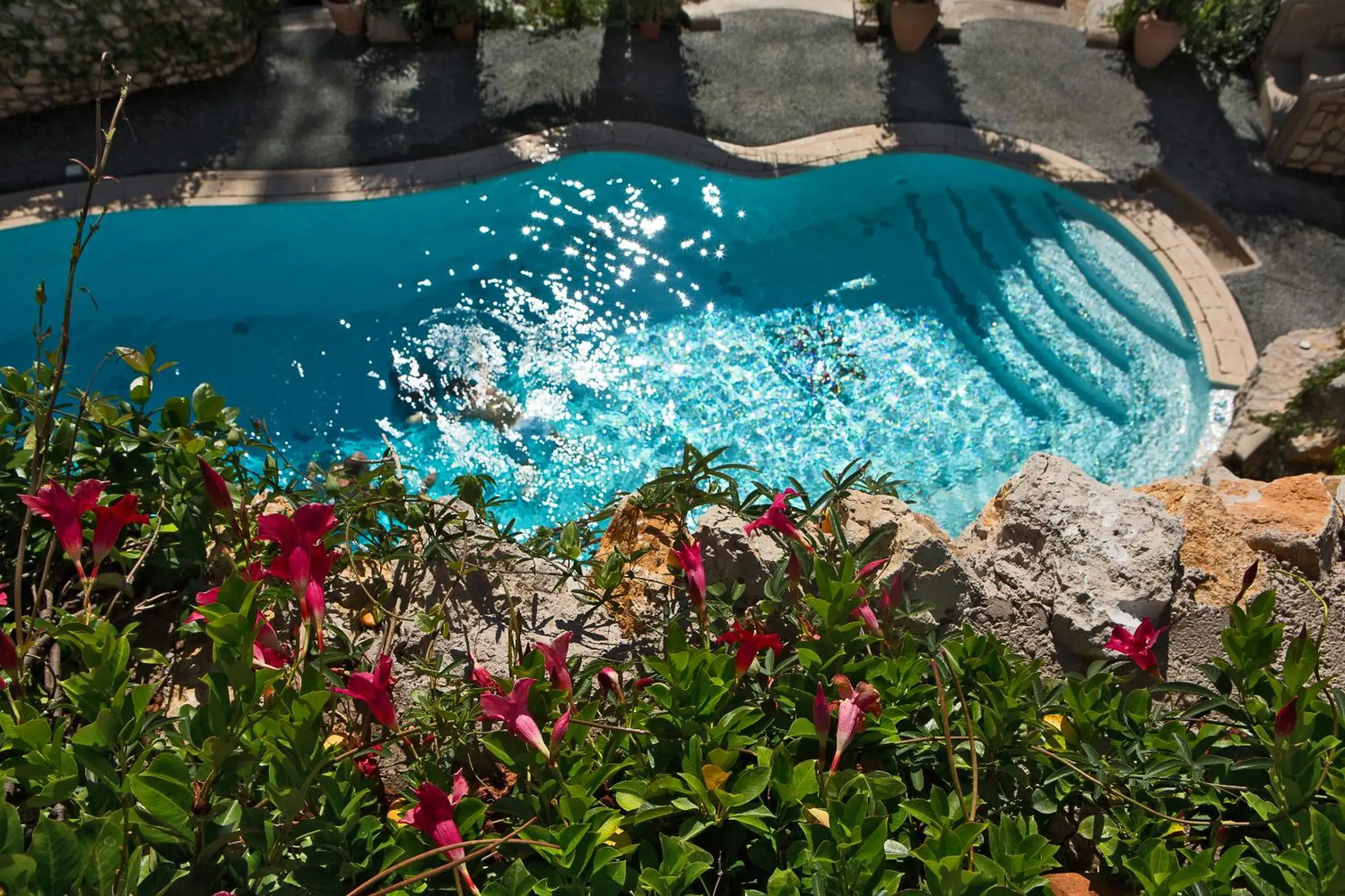 Swimming pool, Pool View in Hotel La Floridiana