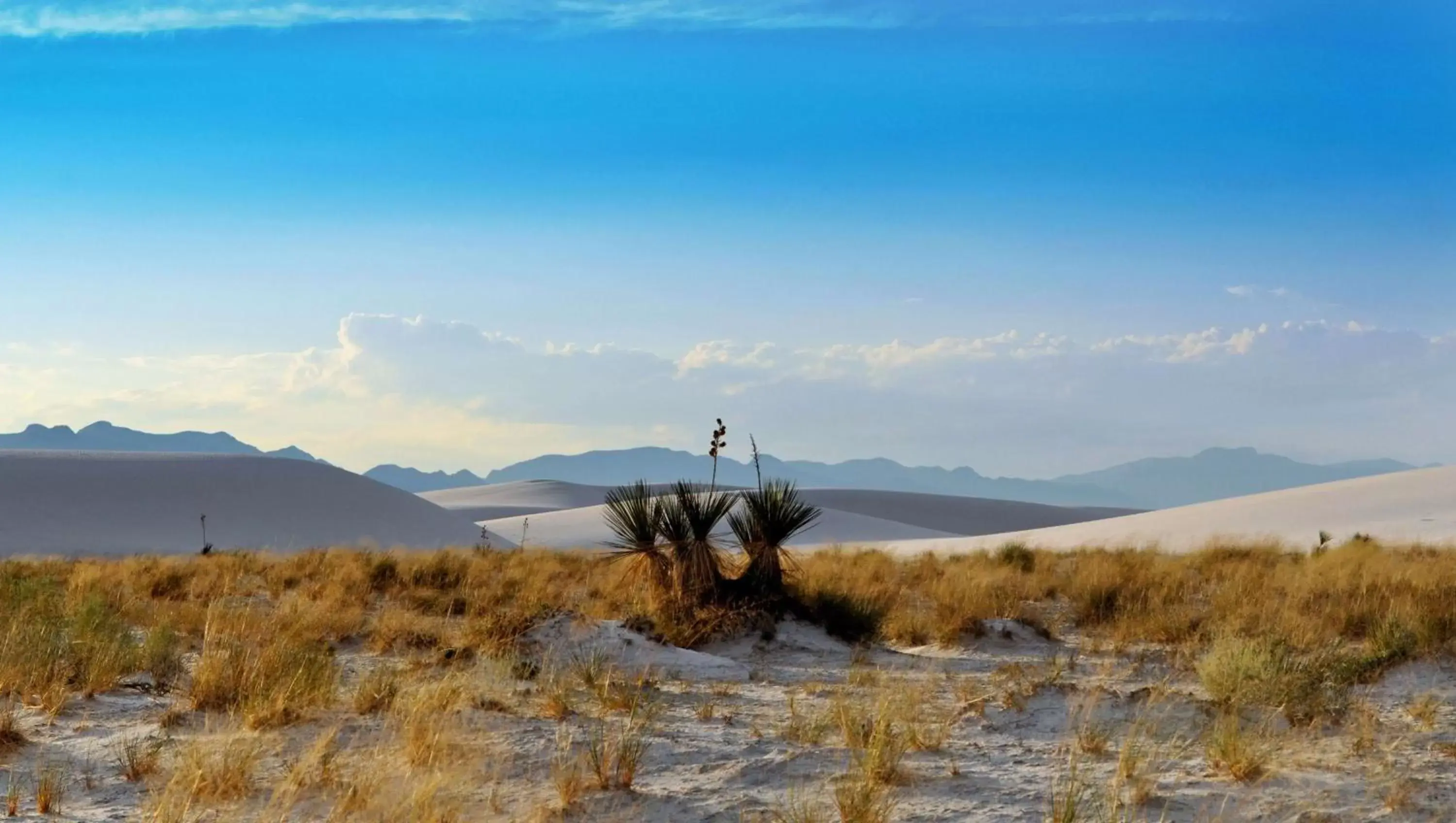 Nearby landmark, Natural Landscape in The Classic Desert Aire Hotel