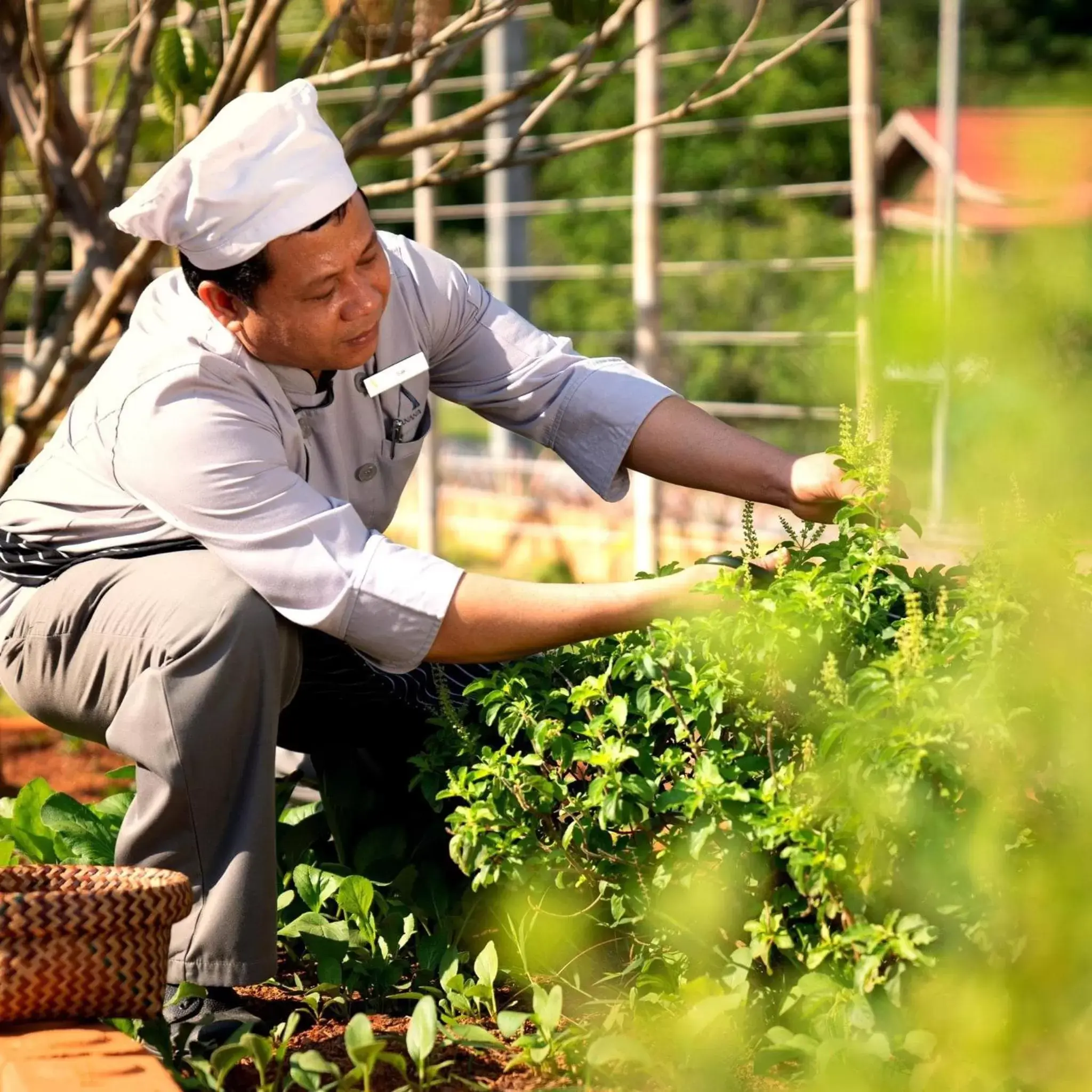 Garden in Anana Ecological Resort Krabi-SHA Extra Plus