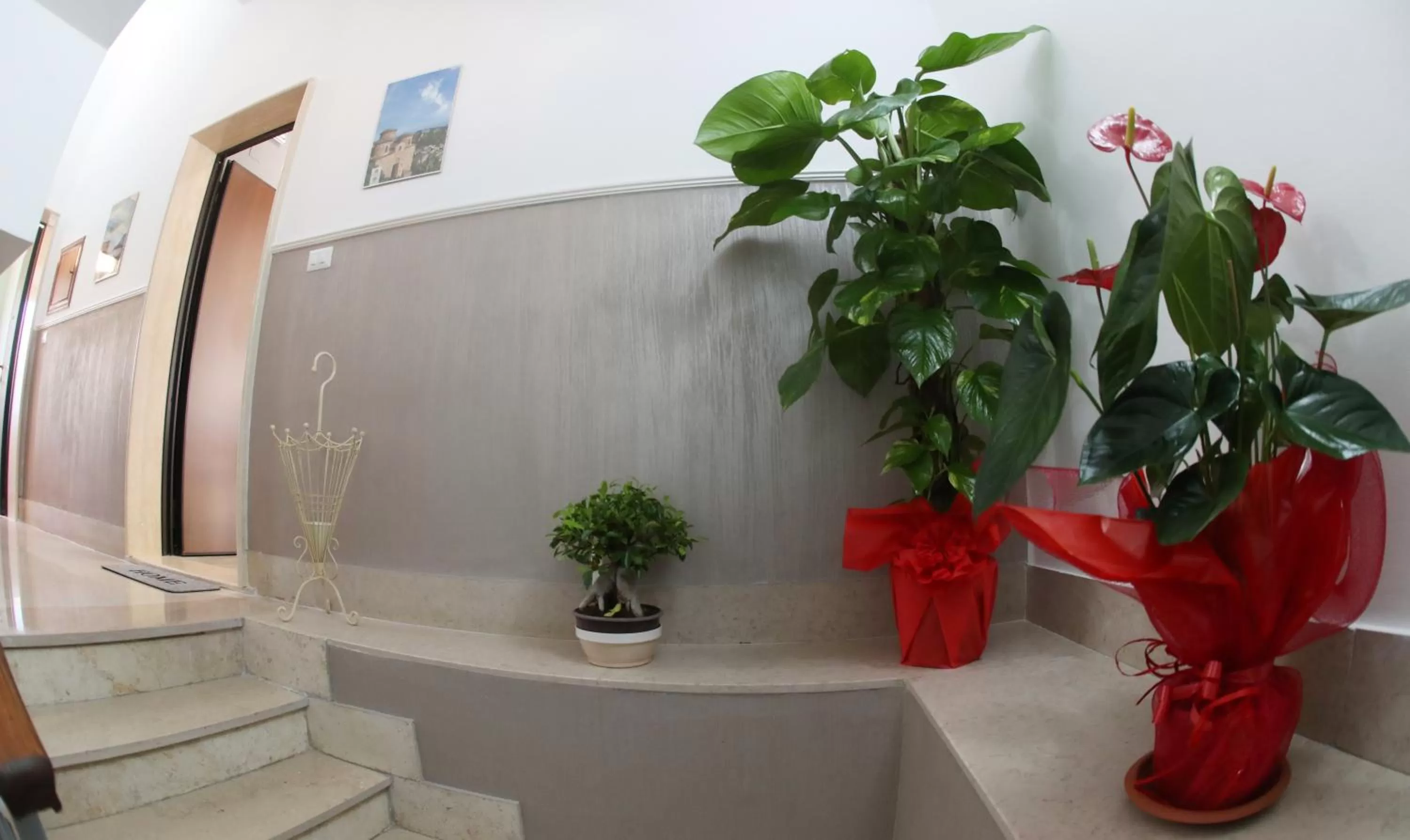 On site in La casa di Luce