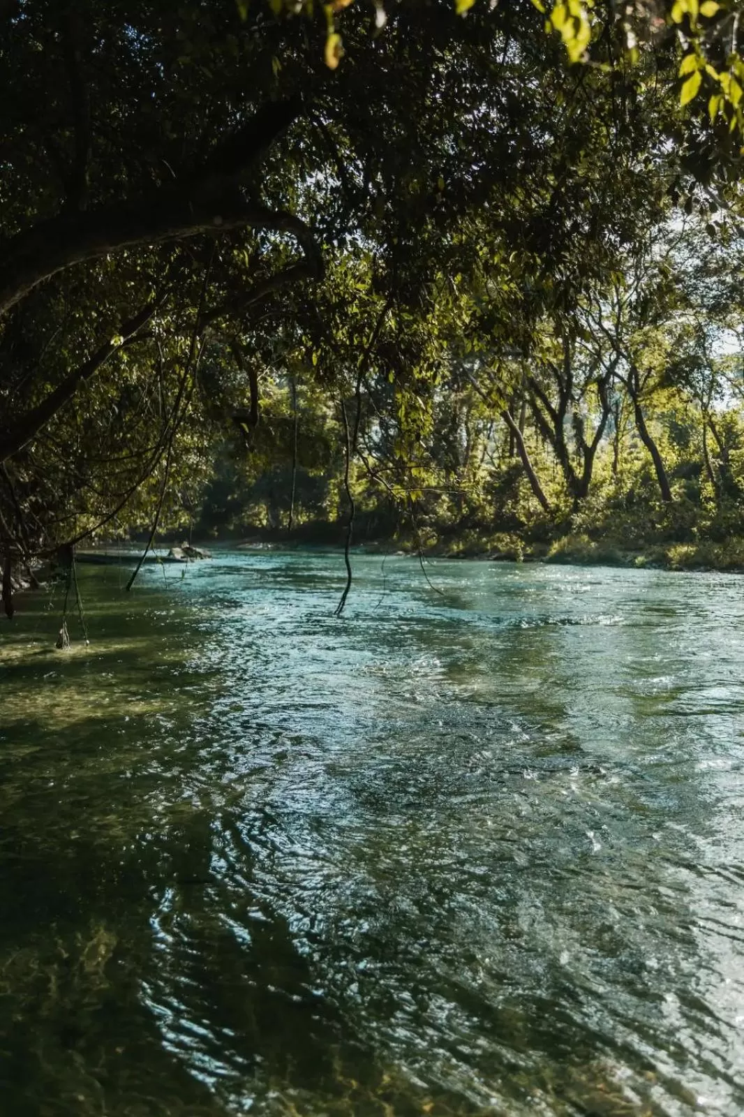 Property building in Hotel Nututun Palenque