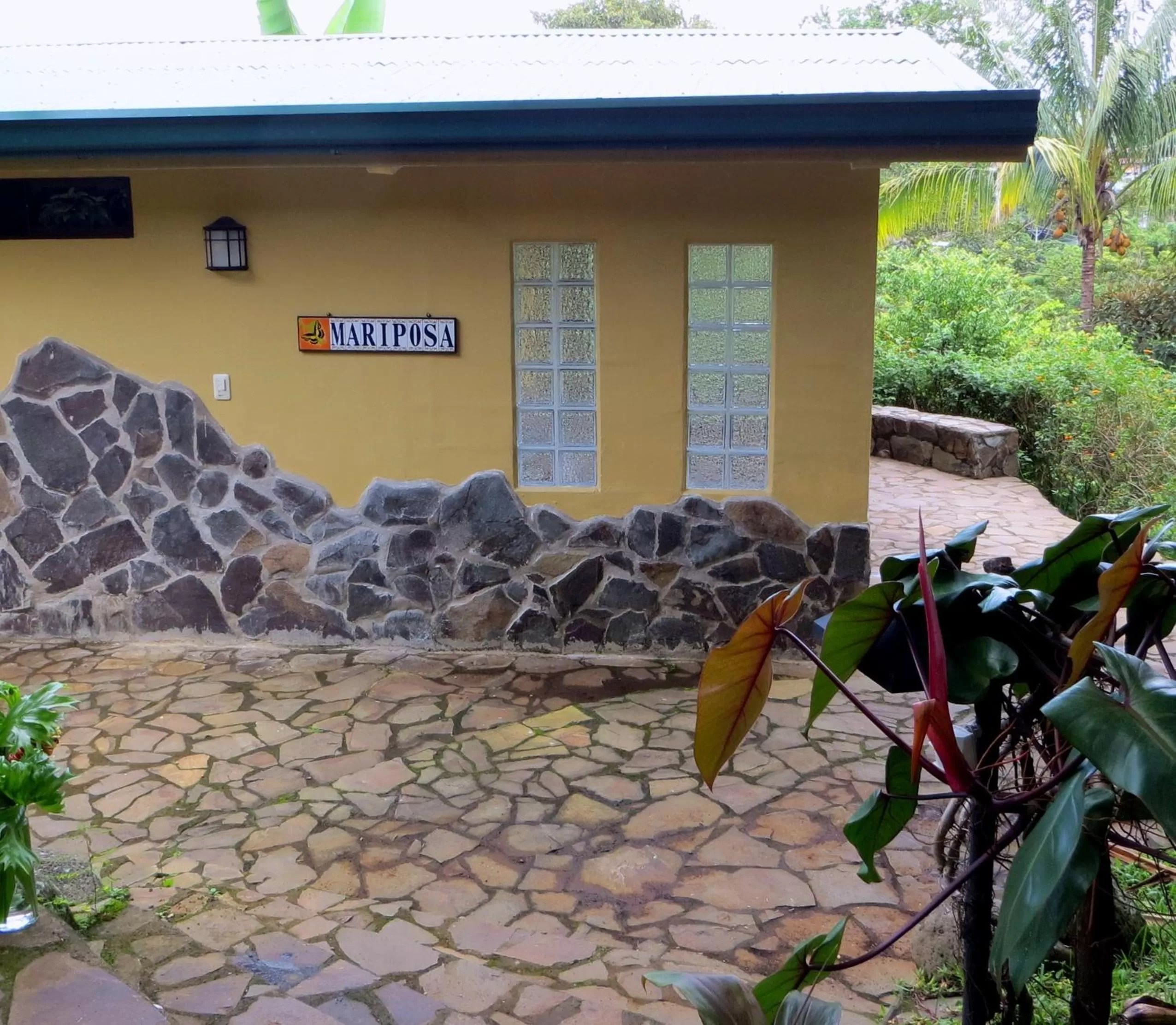 Area and facilities in Pura Vida Hotel