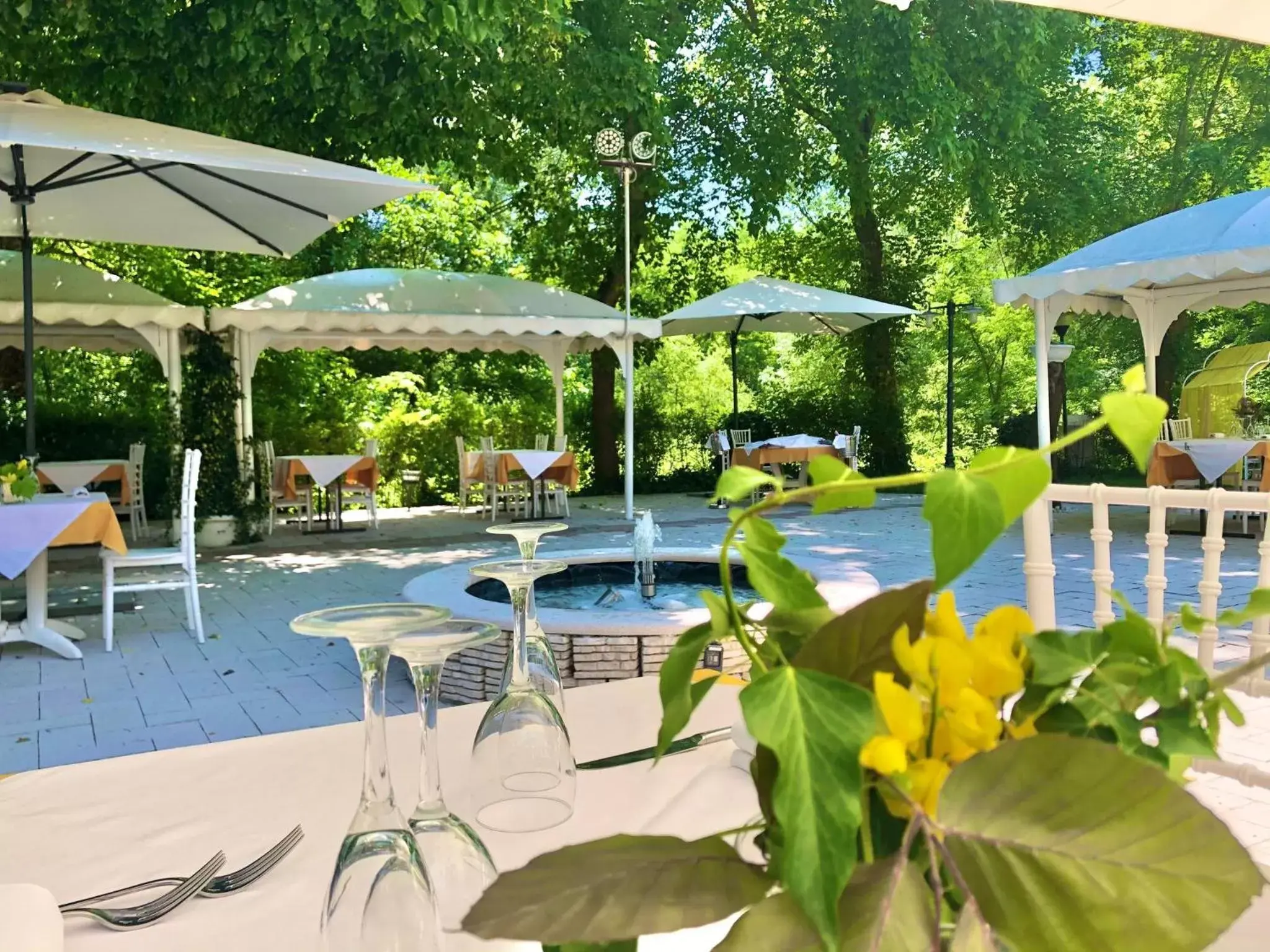 Swimming Pool in Albergo La Ginestra