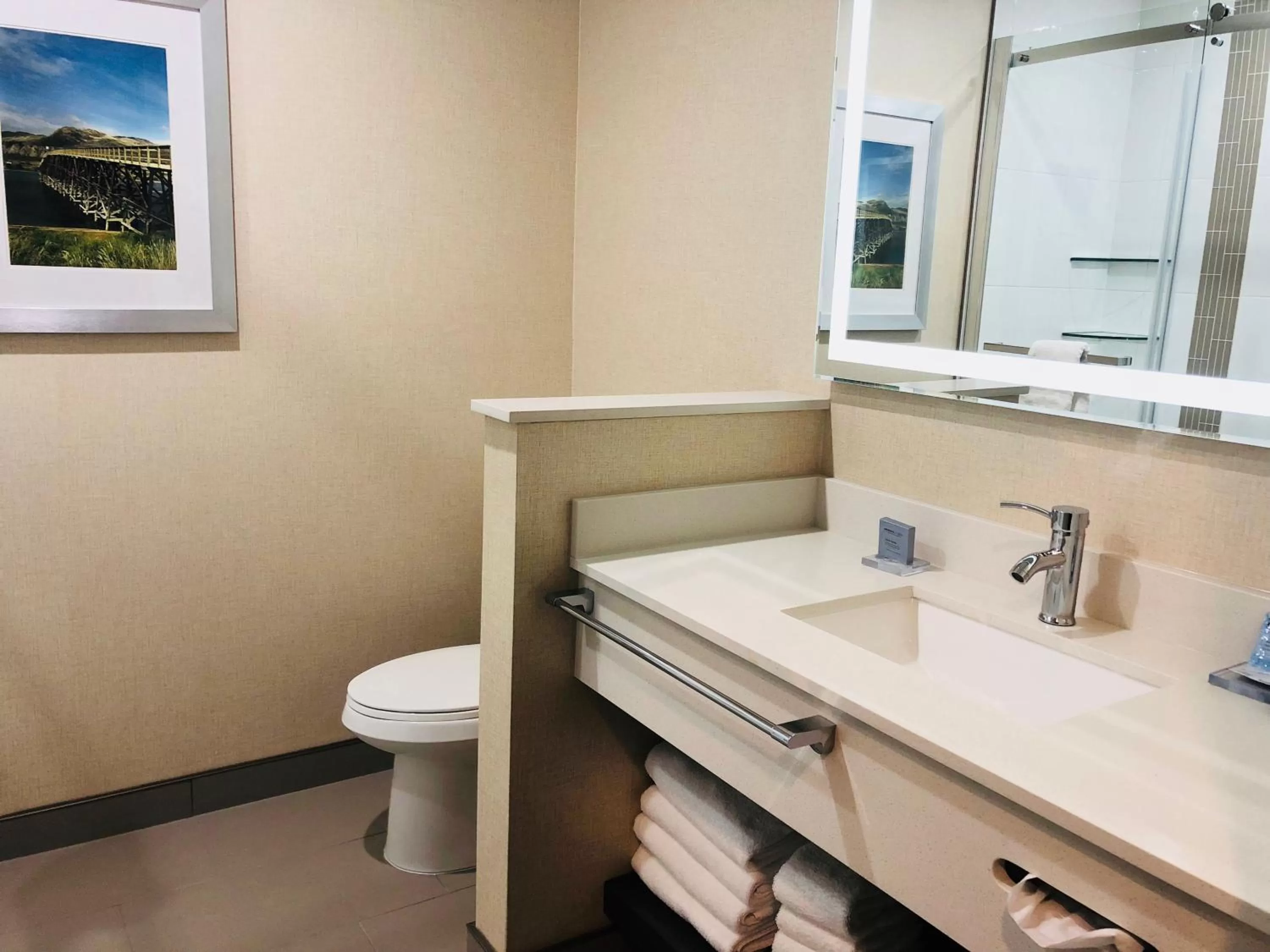 Toilet in Wingate by Wyndham Kamloops