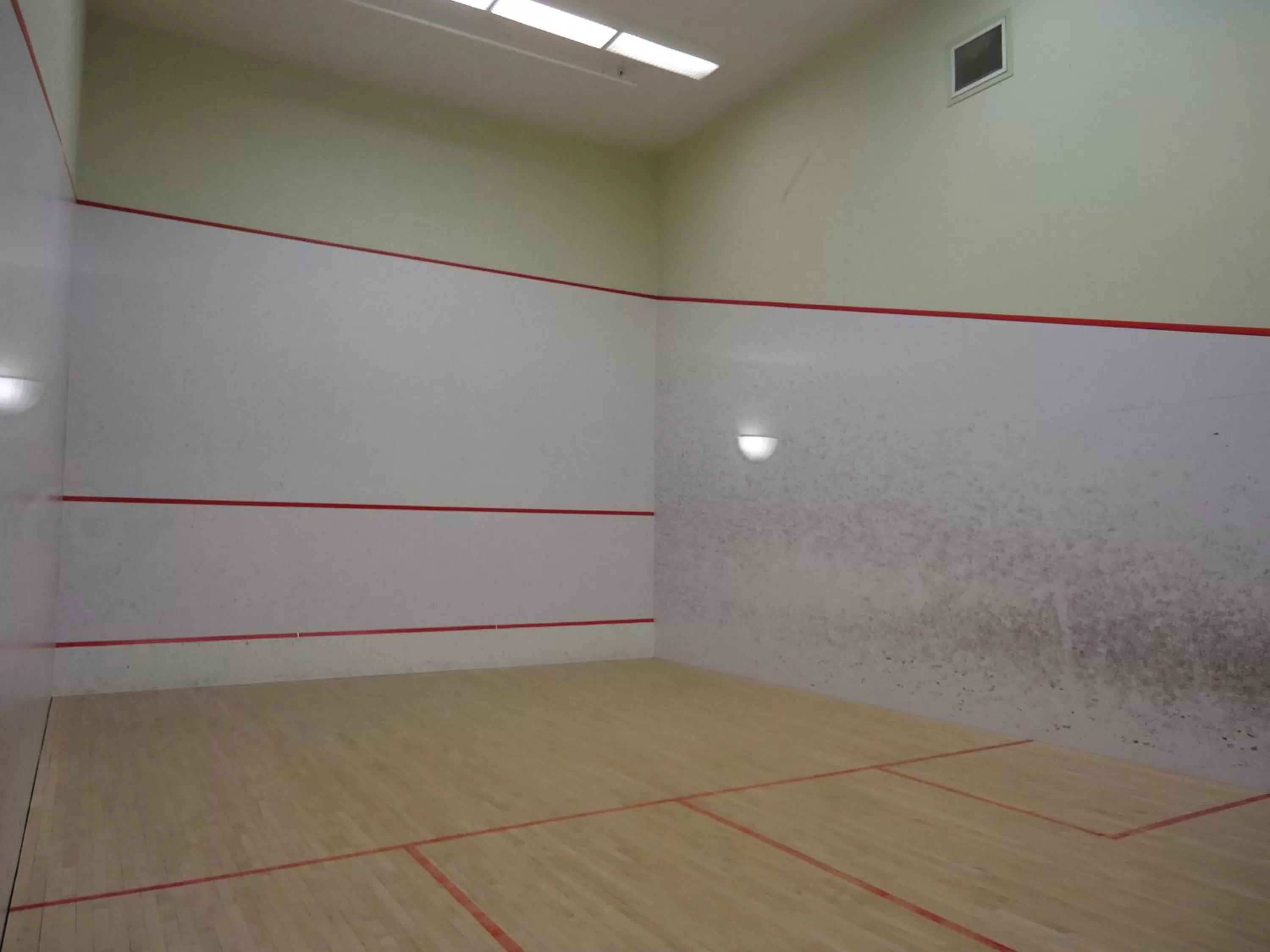 Squash in Super 8 by Wyndham Dauphin