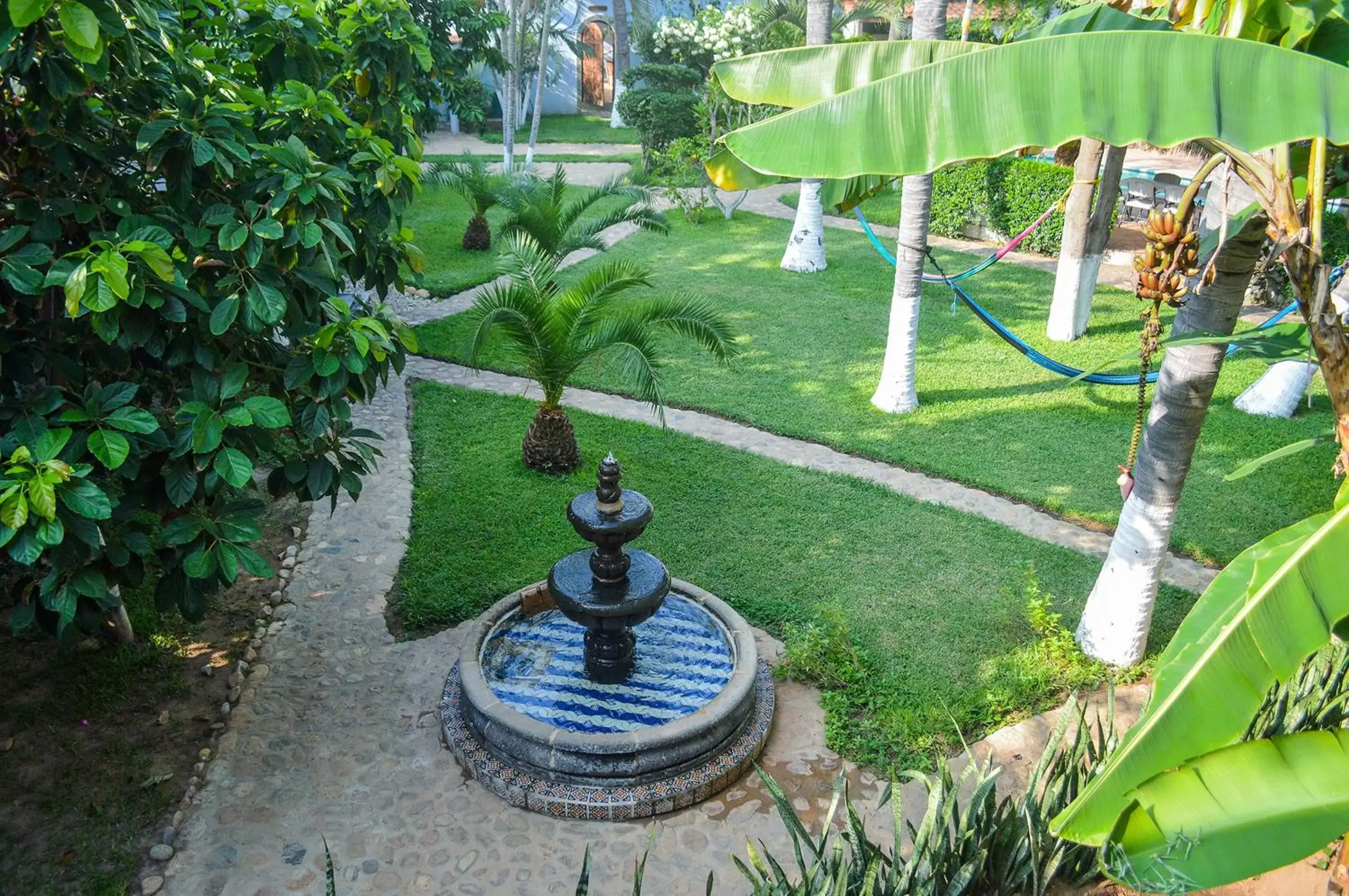 Garden view in Hotel Casamar Suites