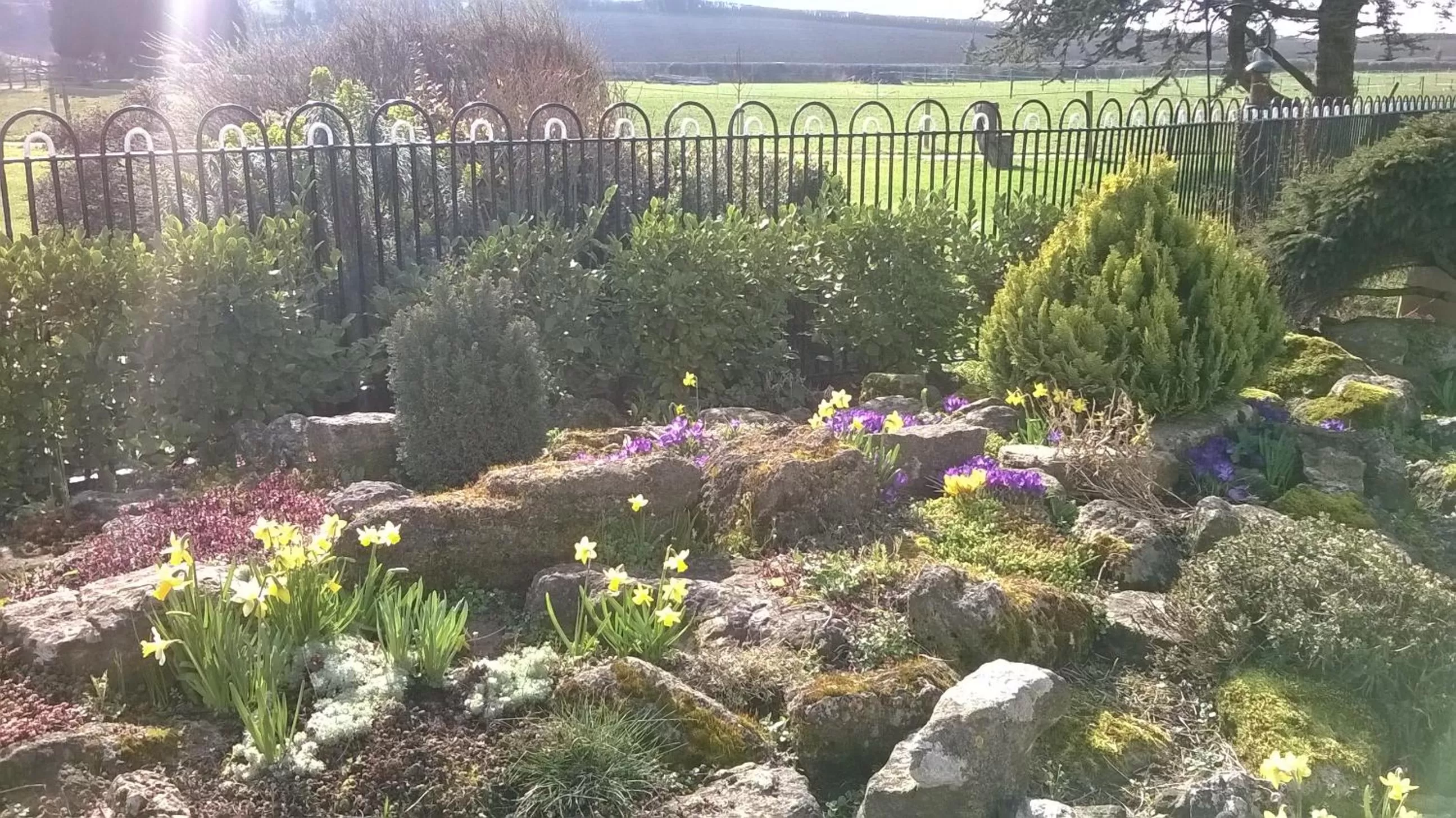 Property building in Lower Bryanston Farm