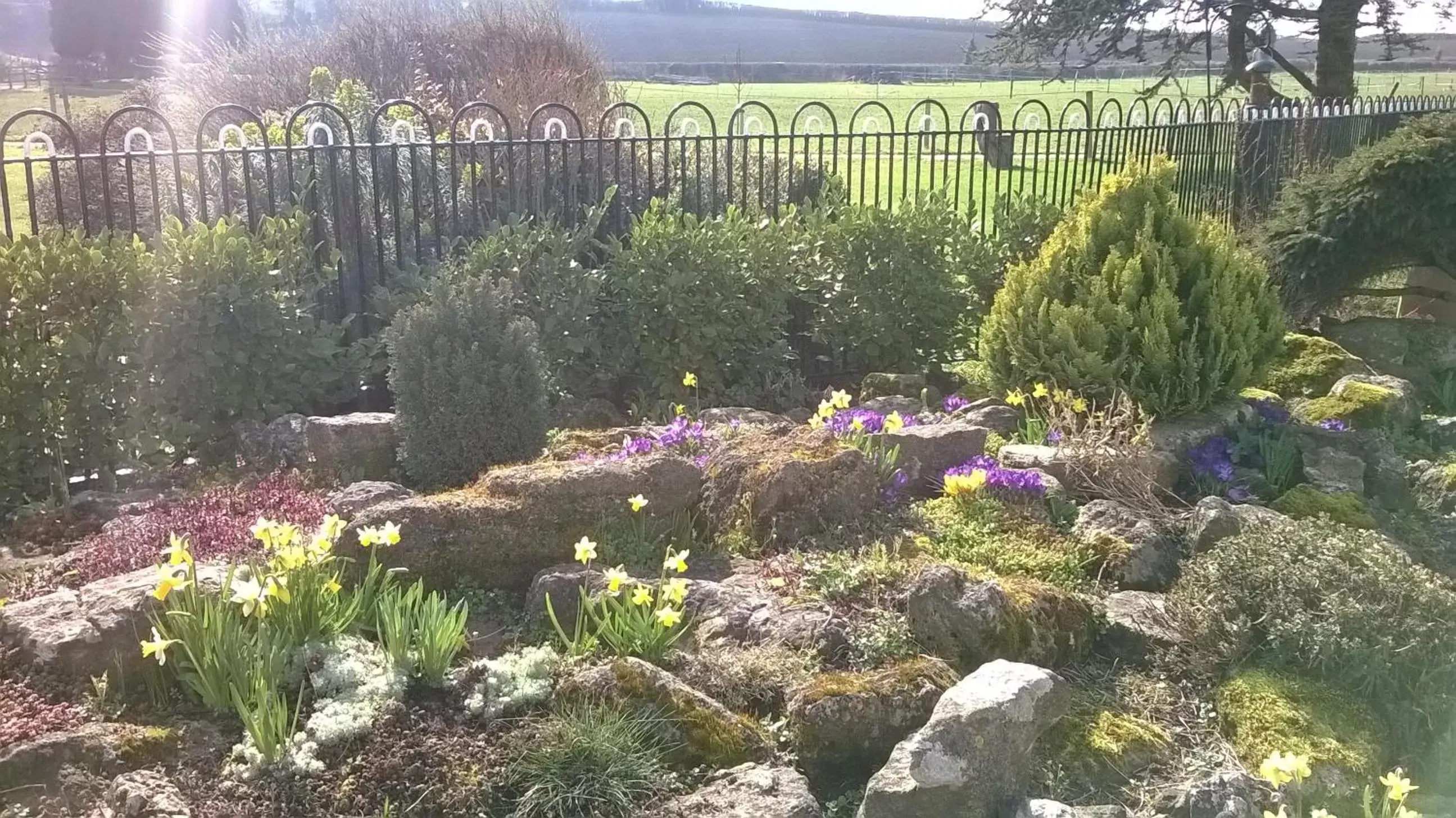 Property building in Lower Bryanston Farm Property building in Lower Bryanston Farm