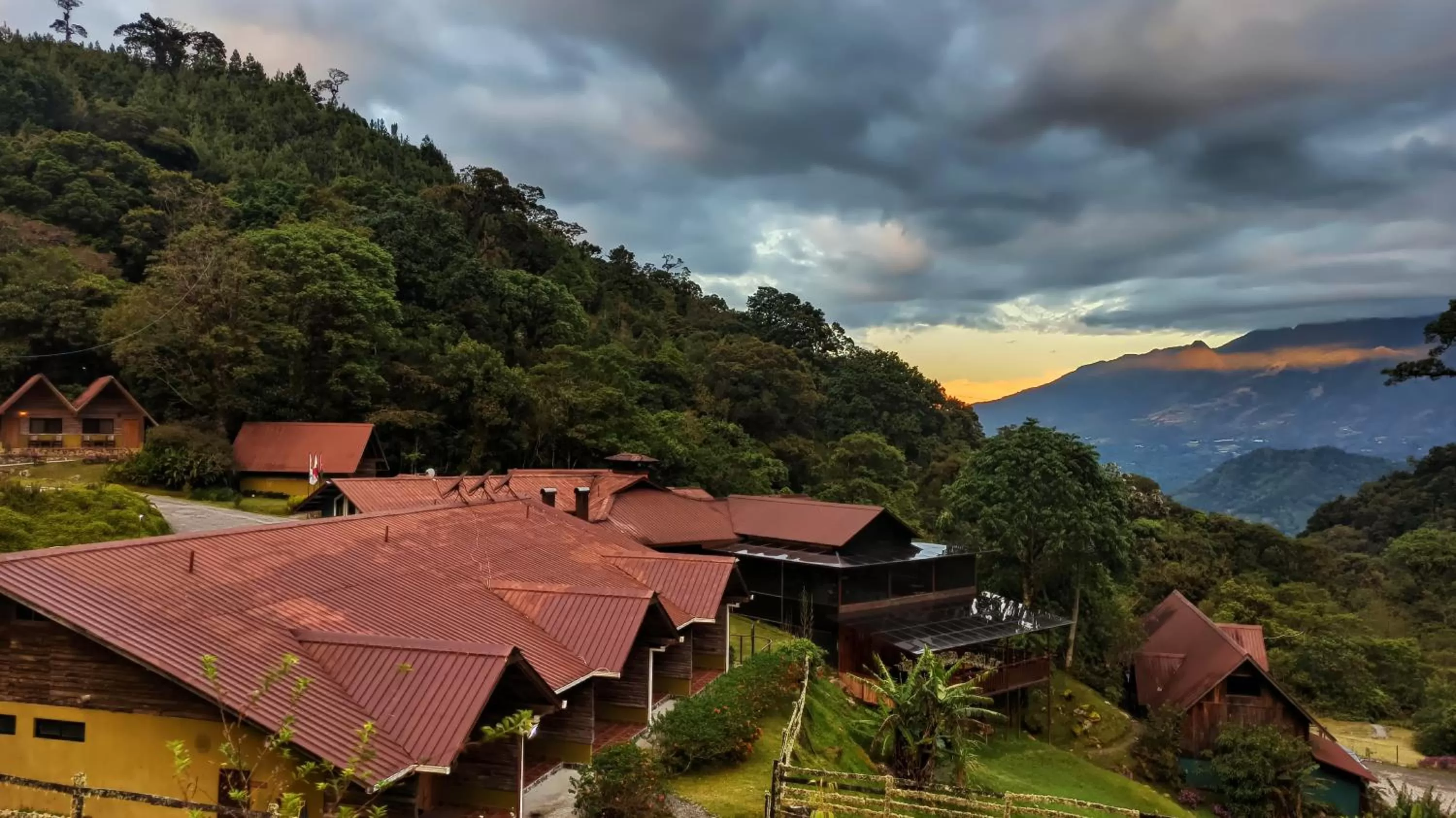 Bird's eye view in TREE TREK BOQUETE Adventure Park