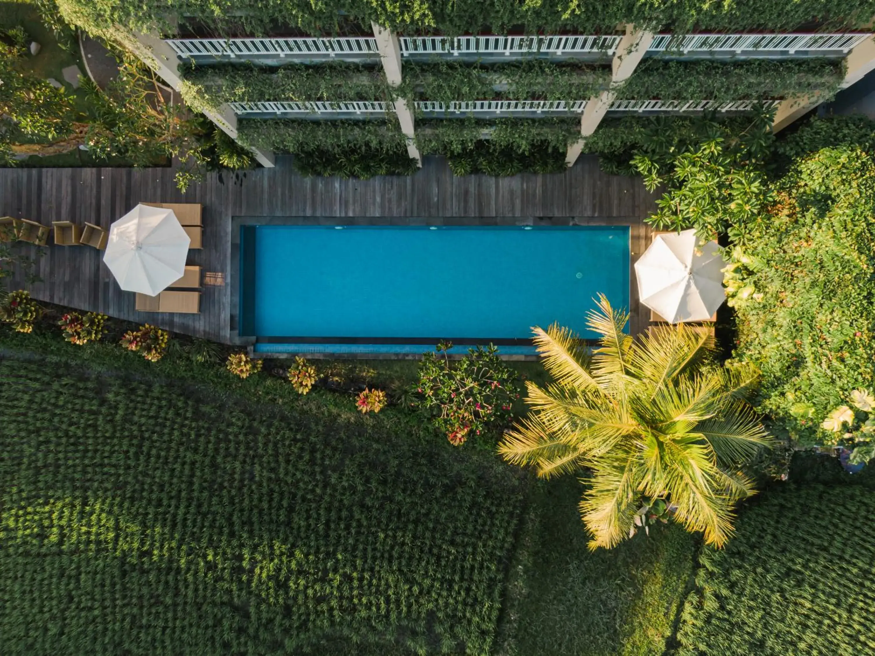 Natural landscape, Pool View in Byasa Ubud Hotel