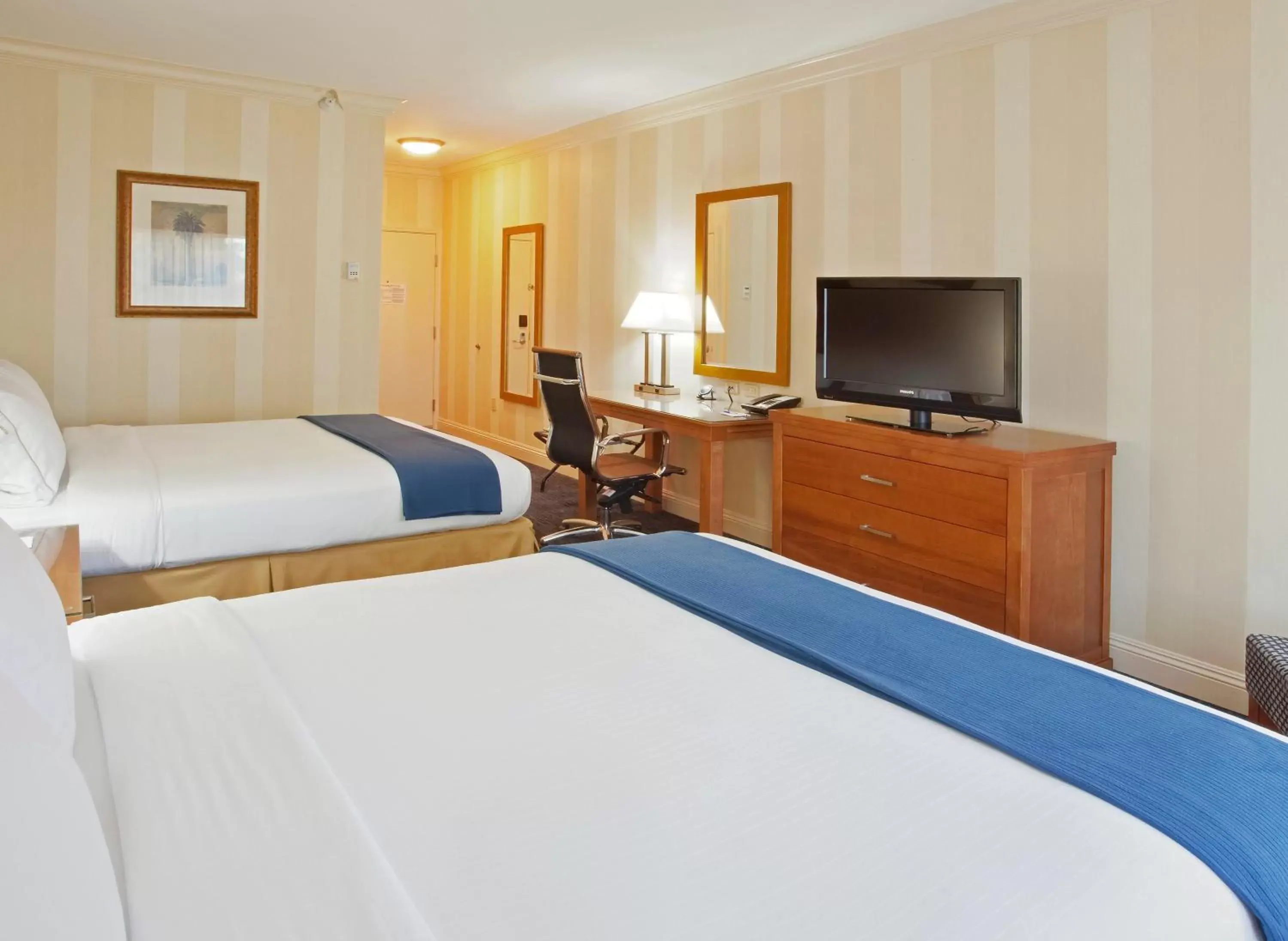 Photo of the whole room, Bed in Holiday Inn Express Hotel & Suites Santa Cruz, an IHG Hotel