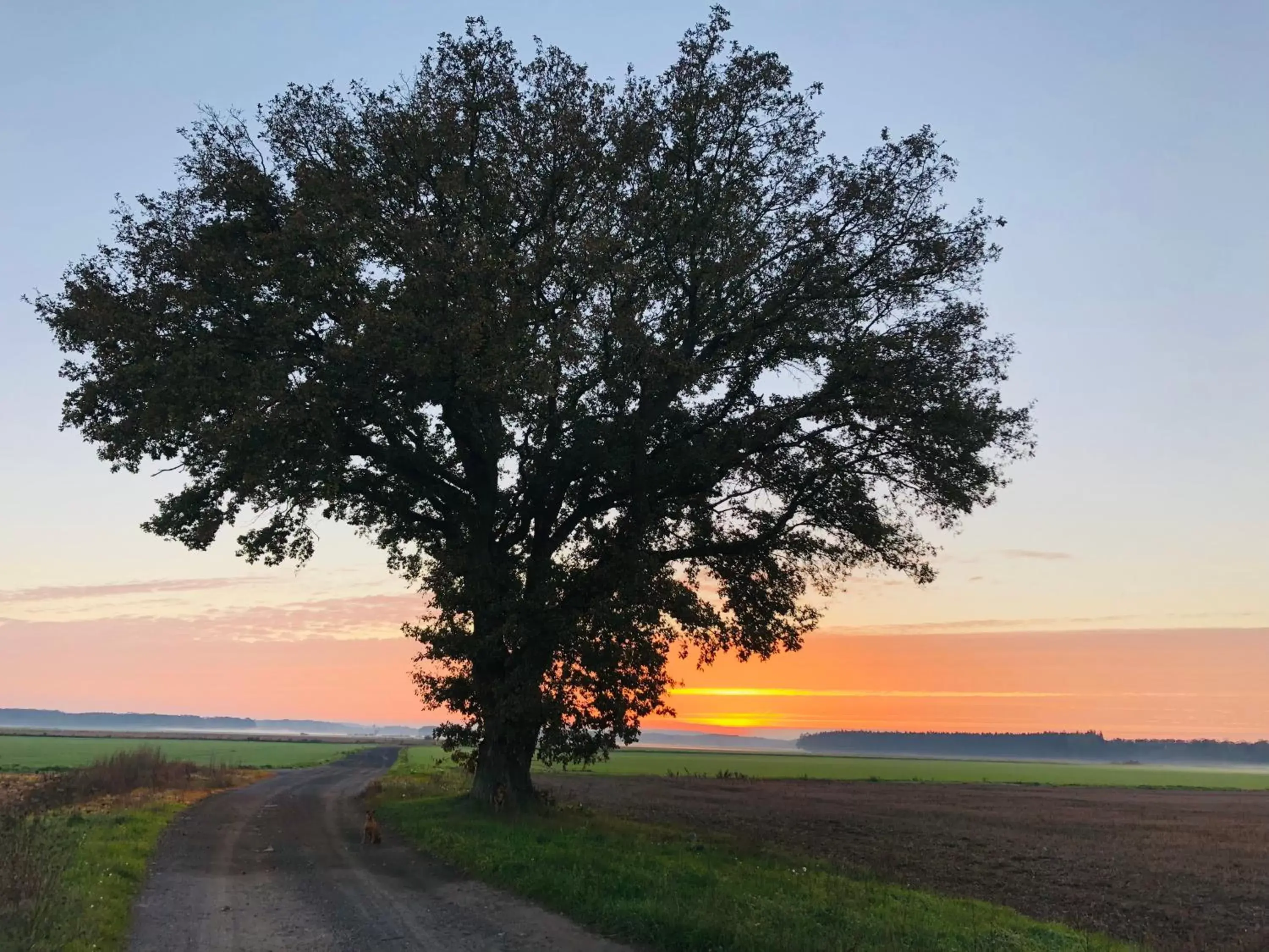 Hiking, Sunrise/Sunset in La plaine de l'Angelus