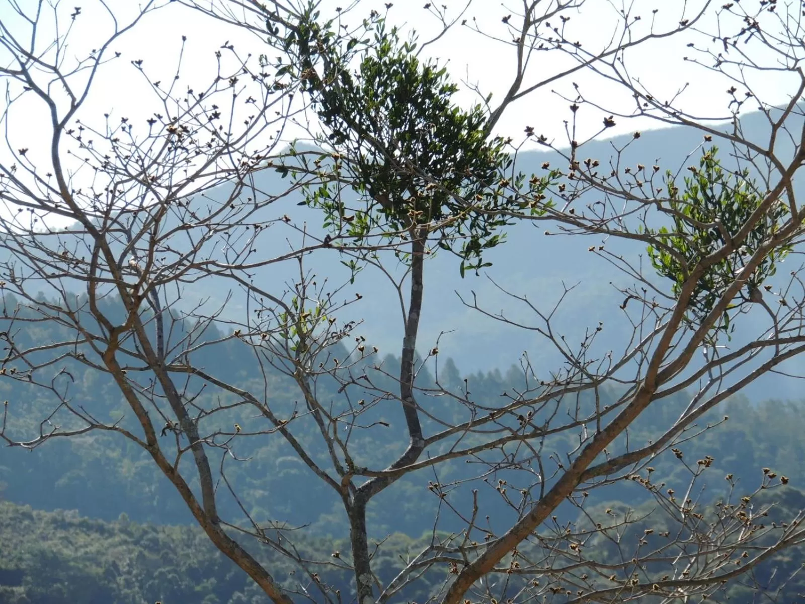 Pousada R.N.C. Nosso Paraíso
