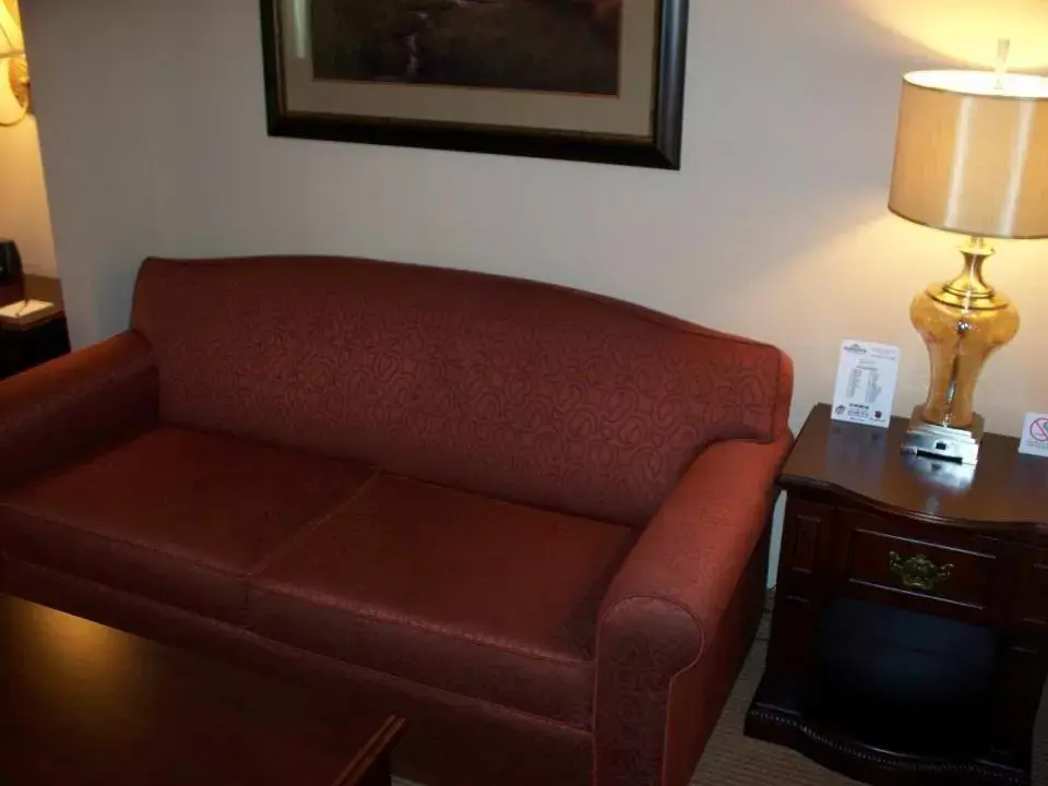 Seating Area in Big Country Hotel & Suites