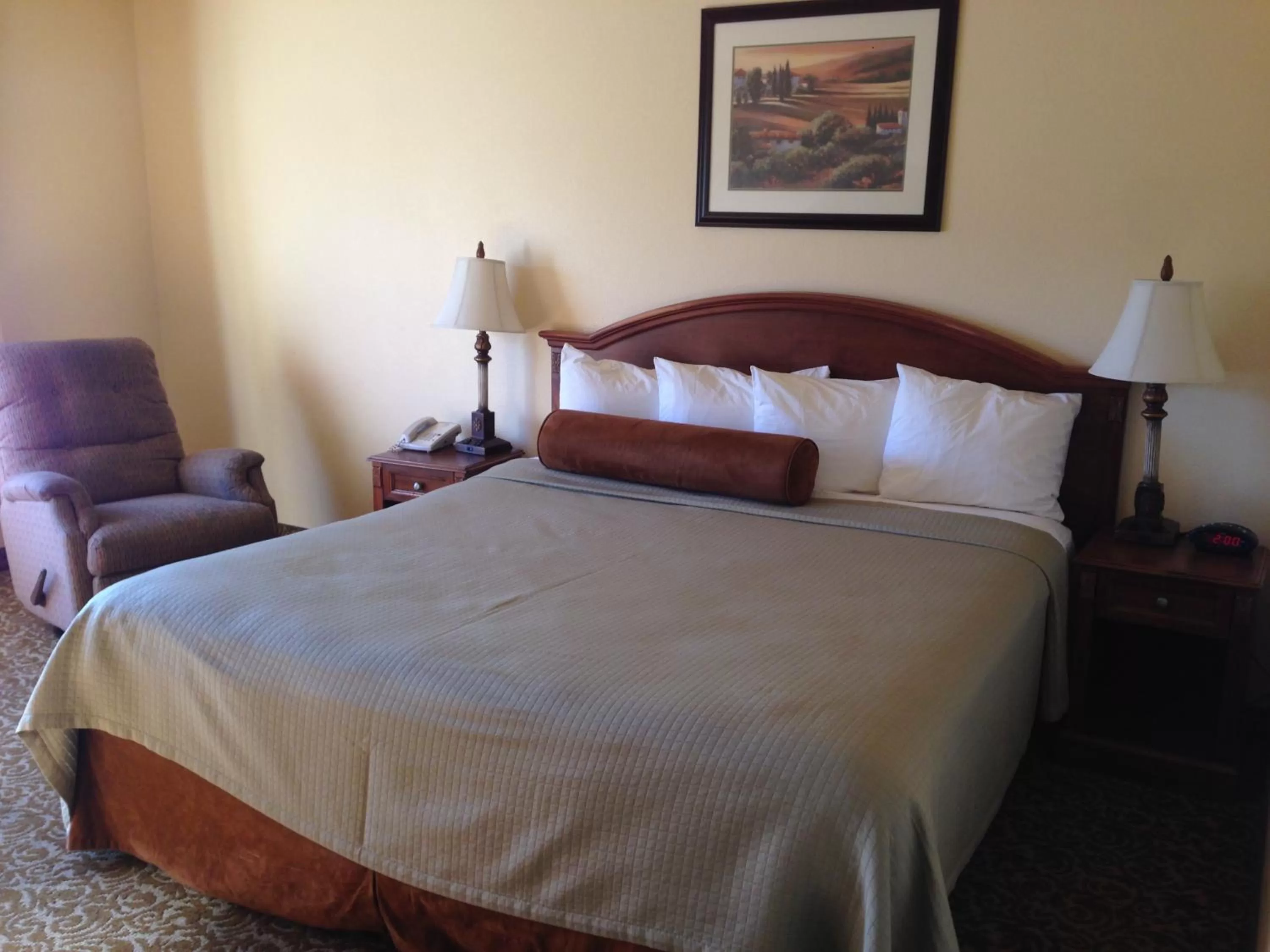 King Suite with Sofa Bed - Non-Smoking in Best Western El Grande Inn