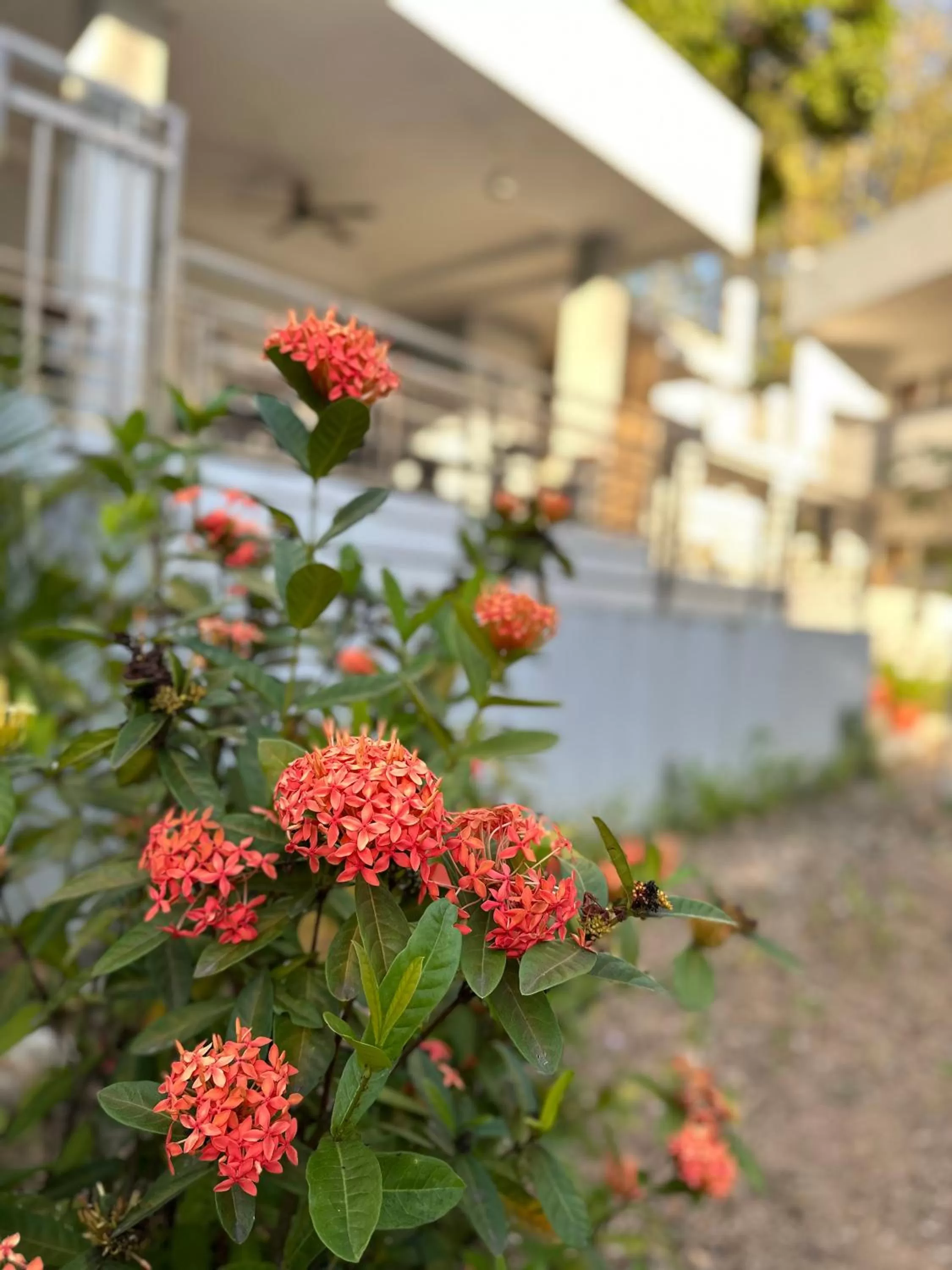 Day in Harbour Bliss Hotel